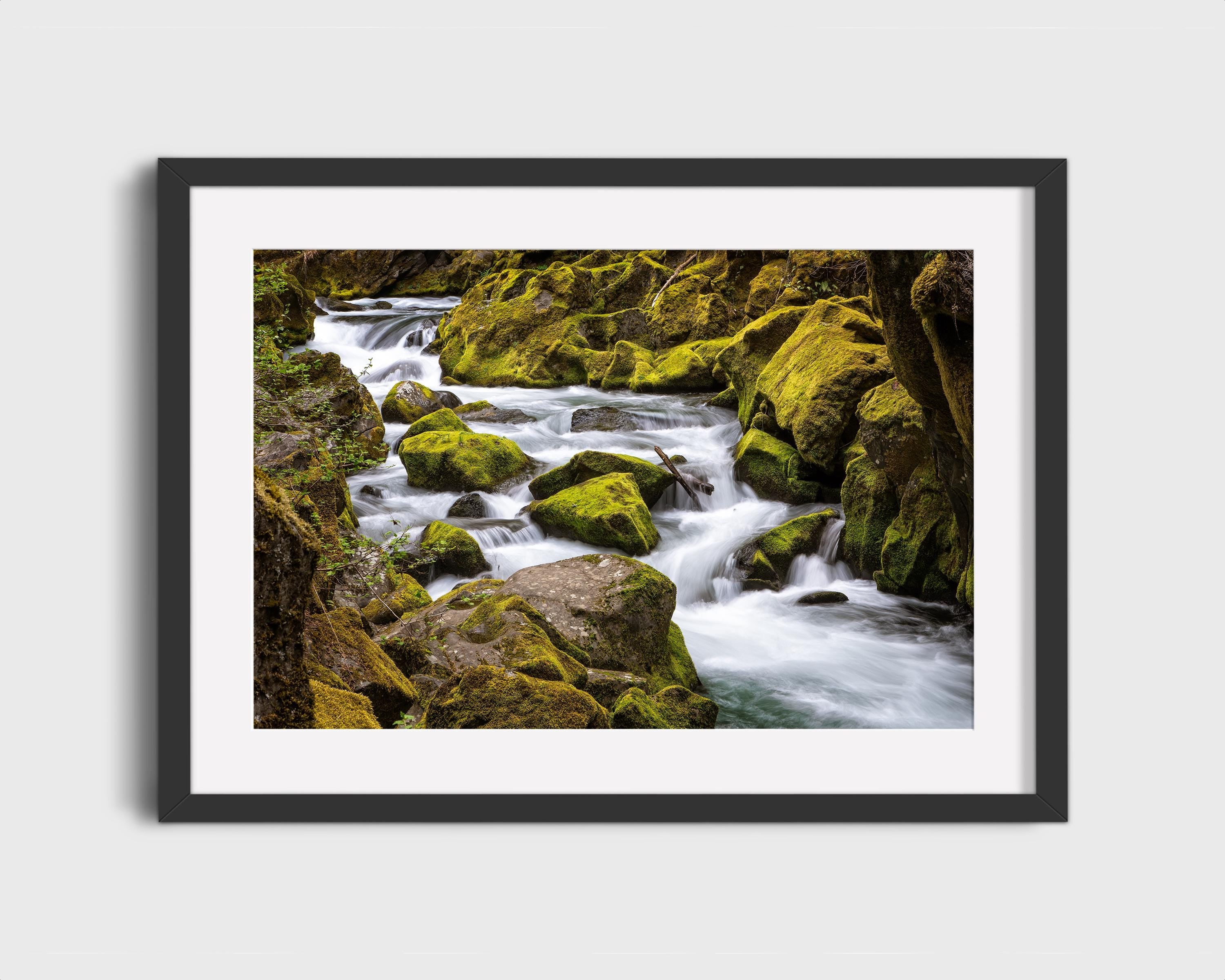 Mossy Gorge Stream