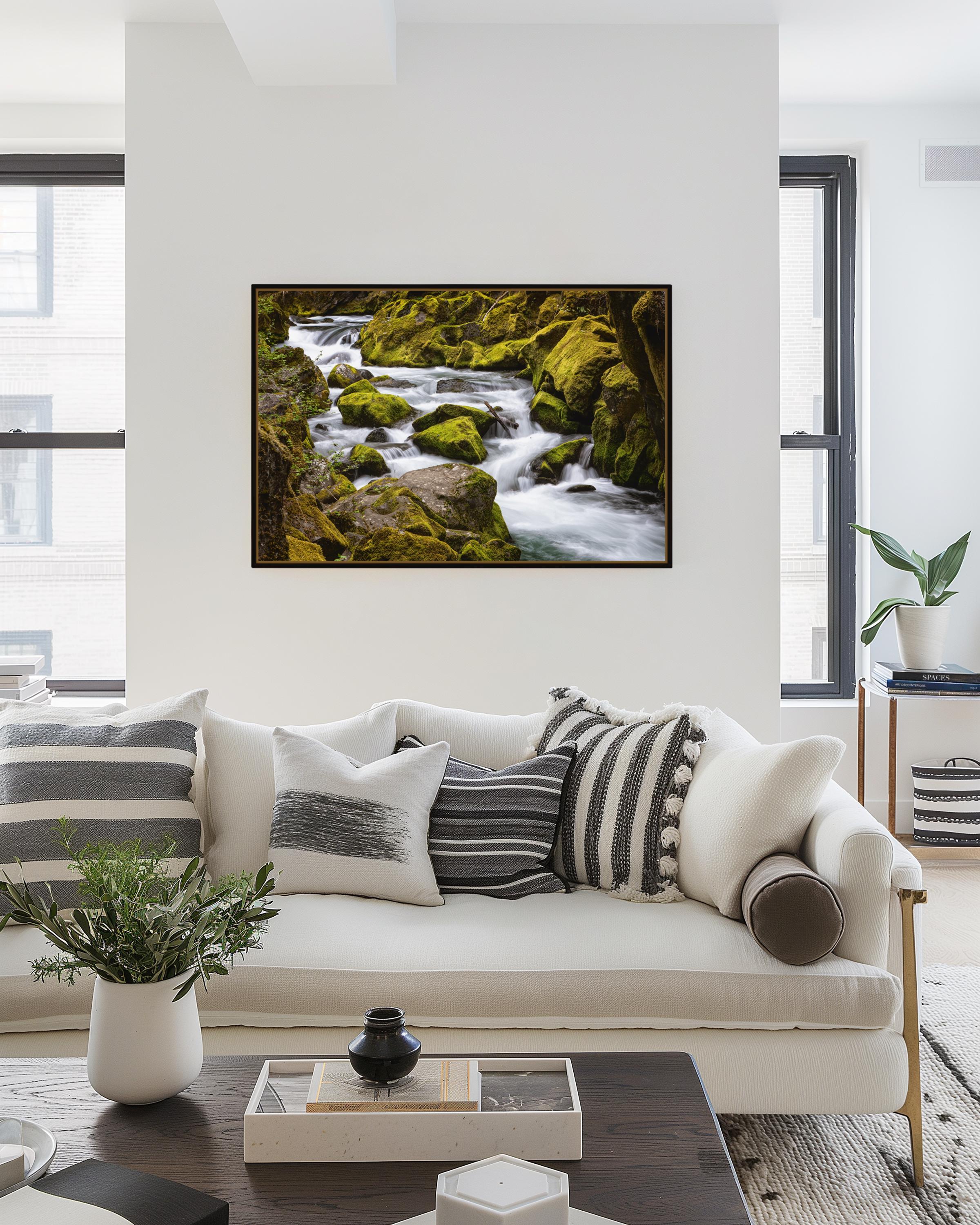 Mossy Gorge Stream