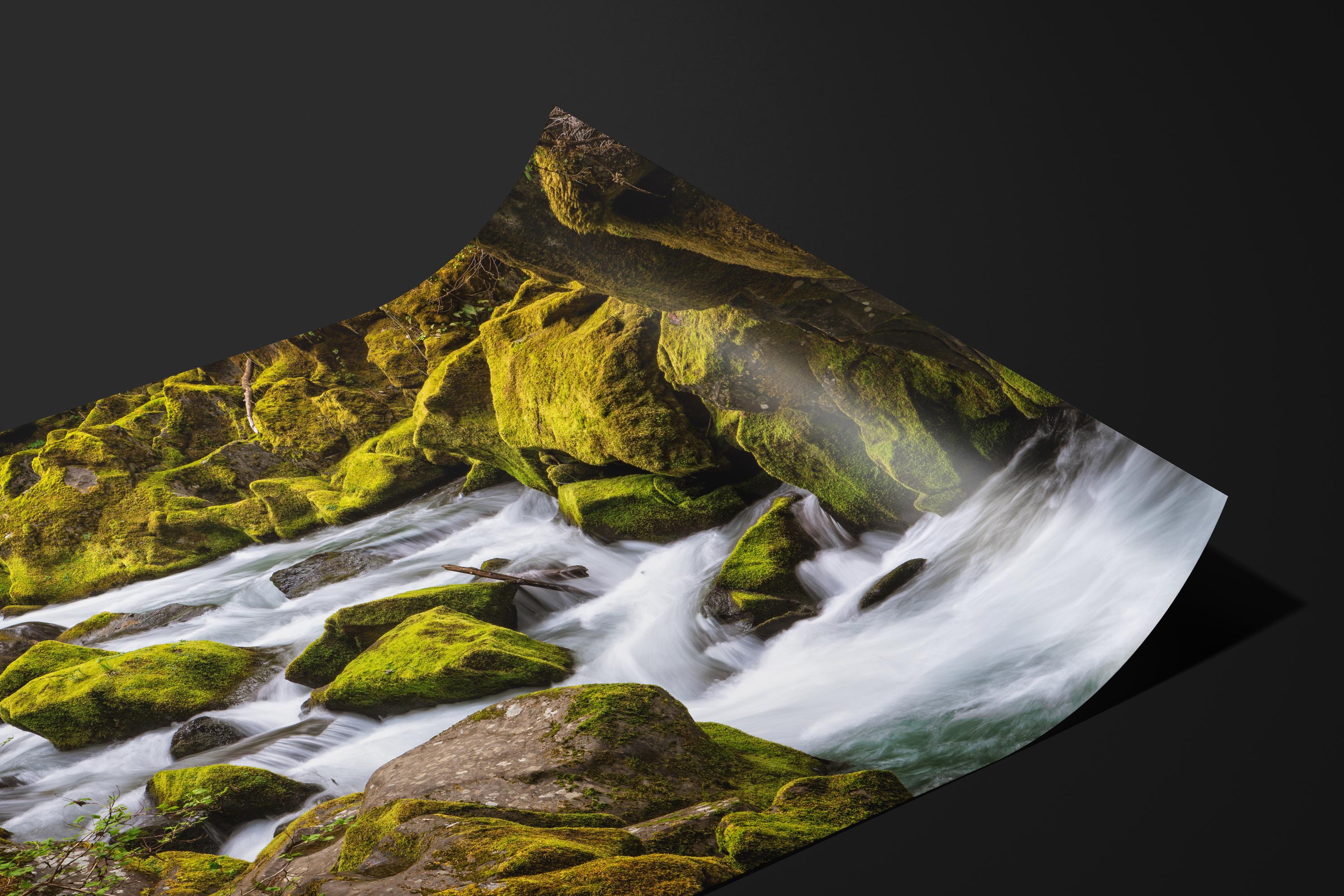 Mossy Gorge Stream