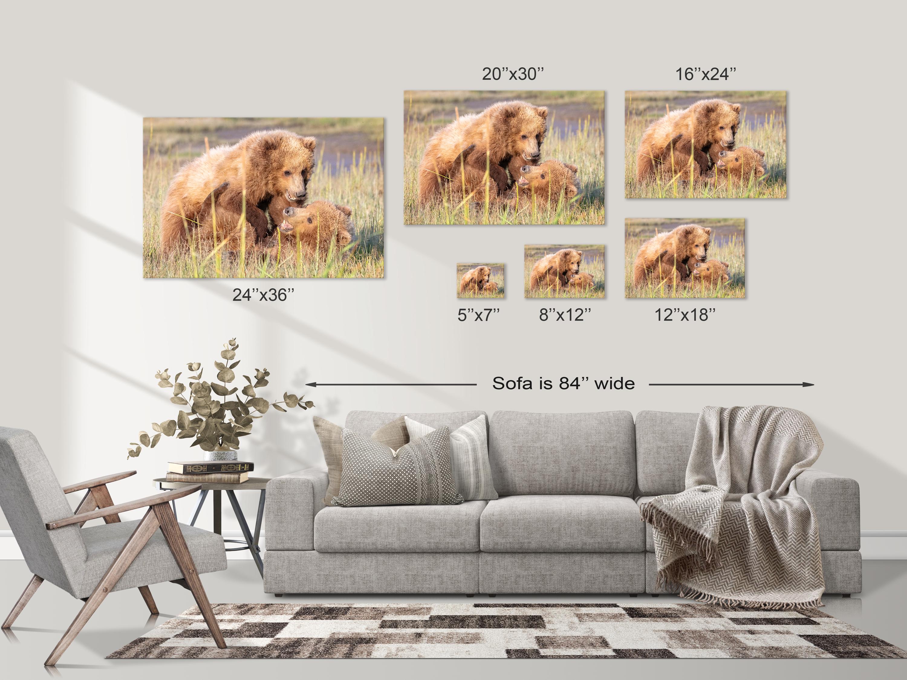 Playful Bear Cubs