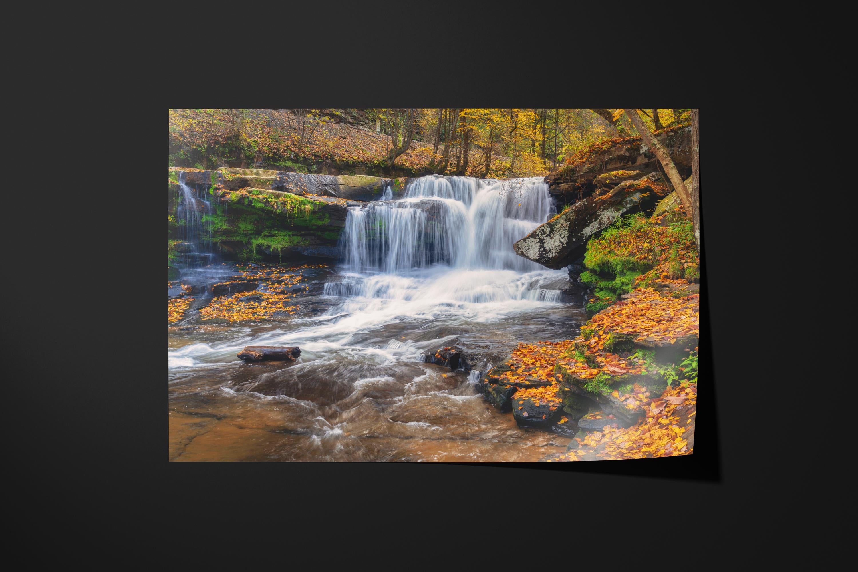 Autumn Dunlop Falls