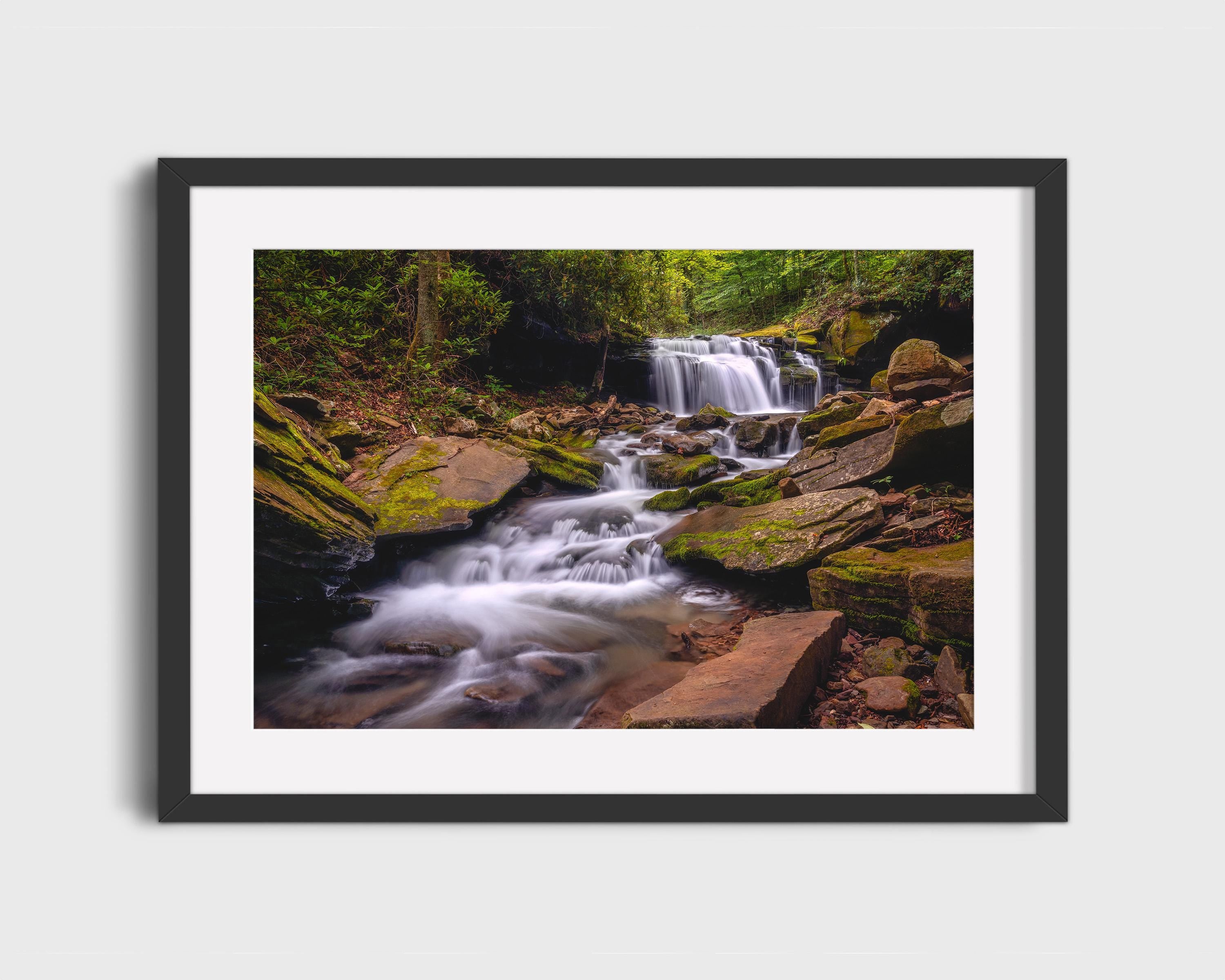 Mossy Forest Waterfall