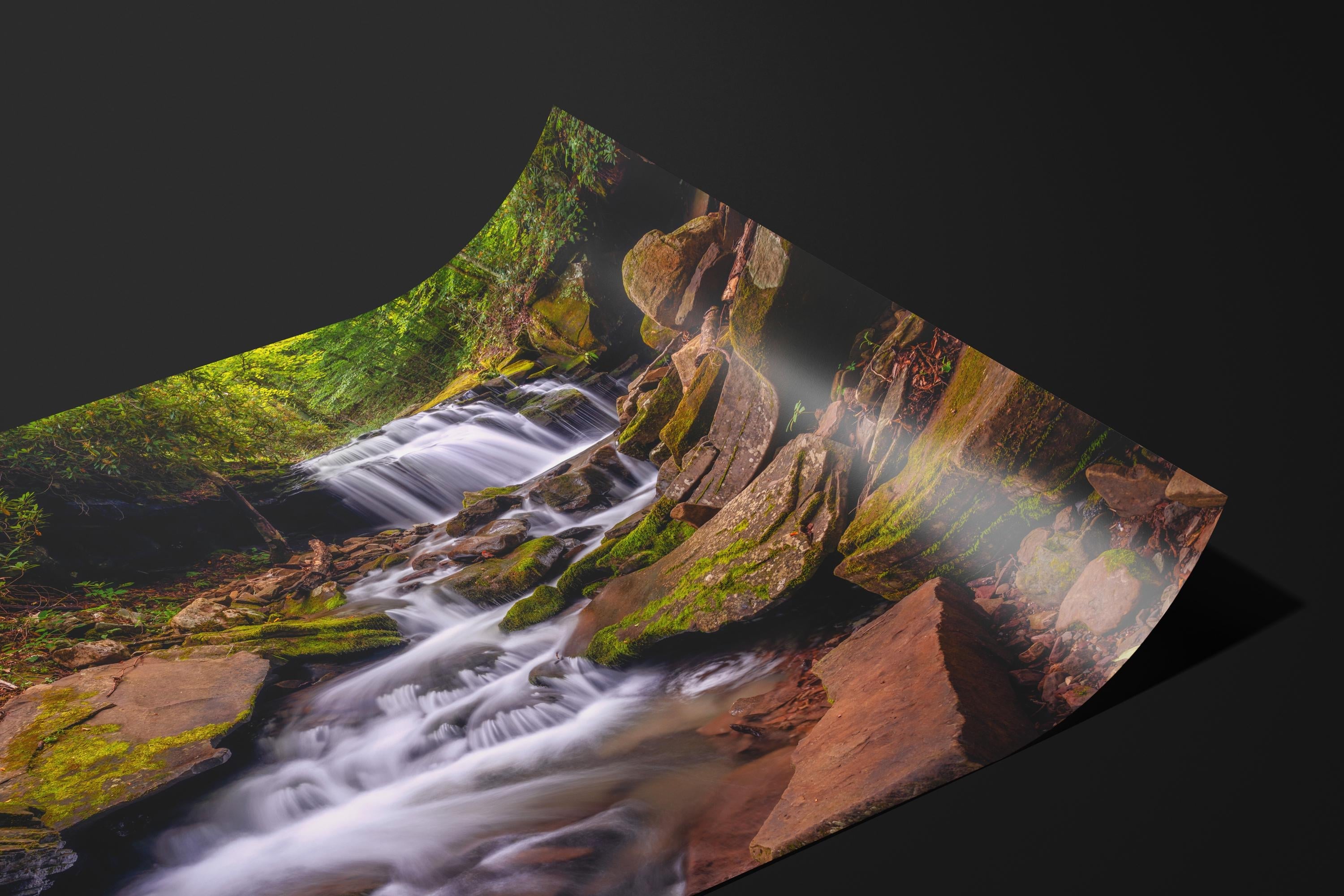 Mossy Forest Waterfall