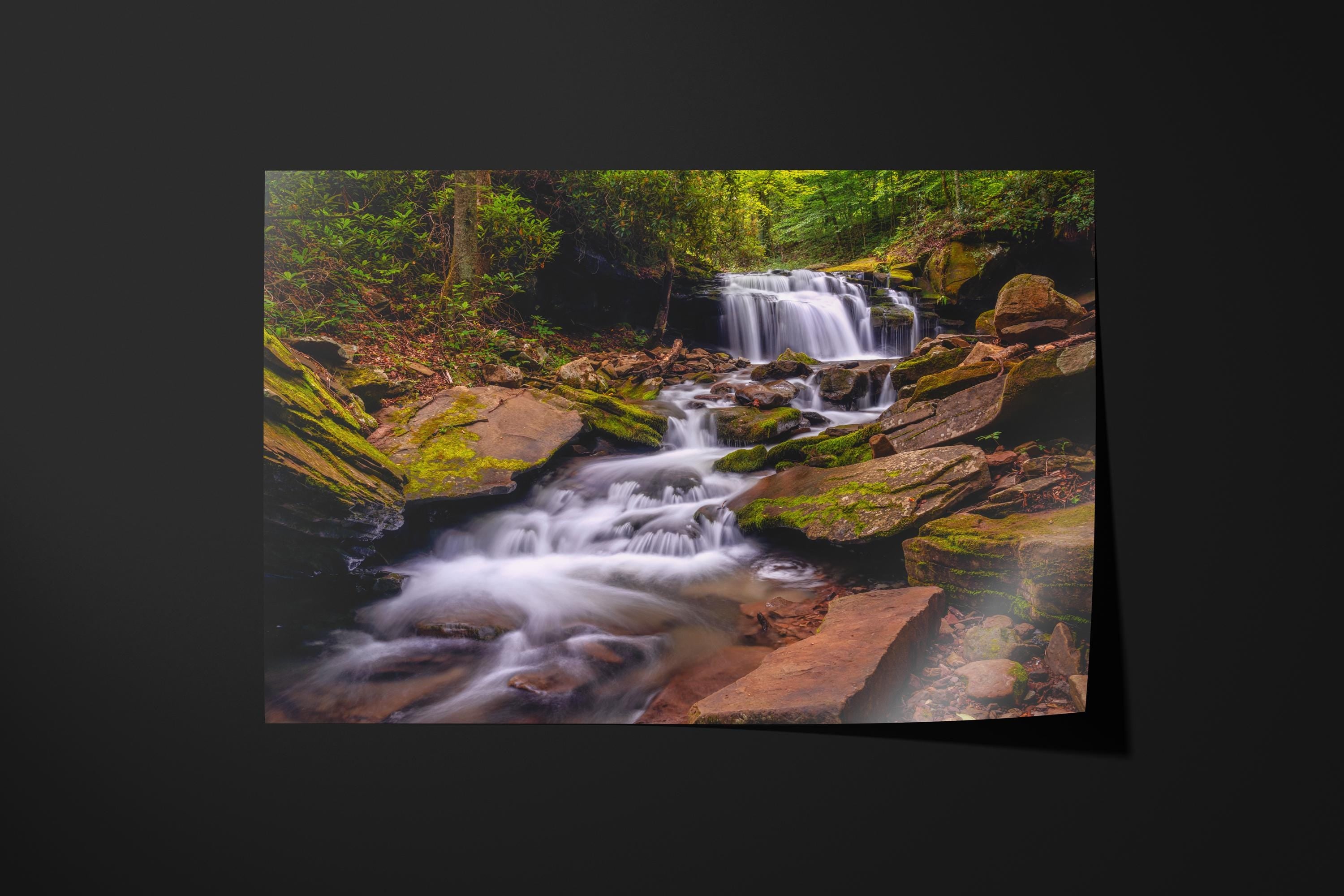Mossy Forest Waterfall