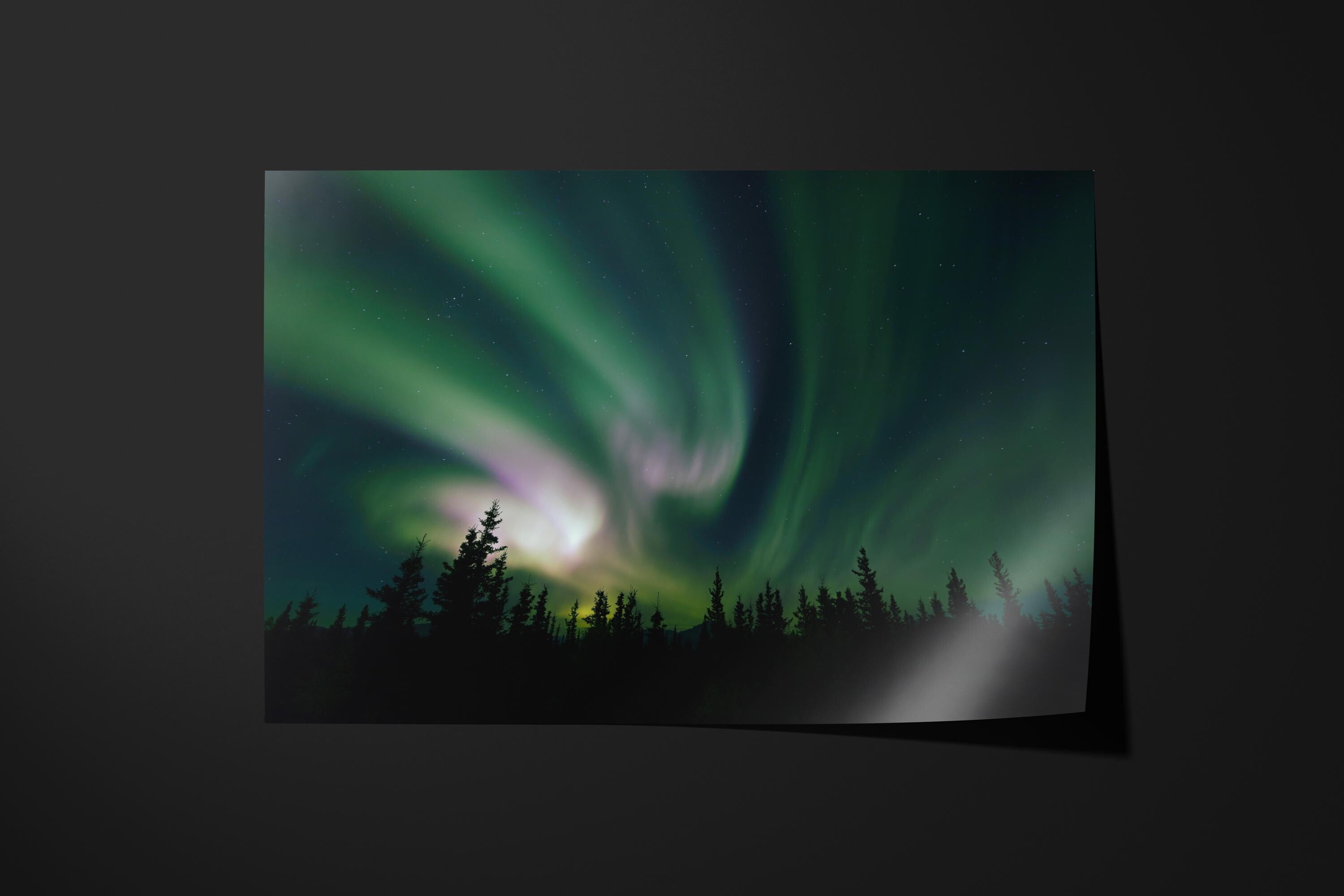 Northern Lights