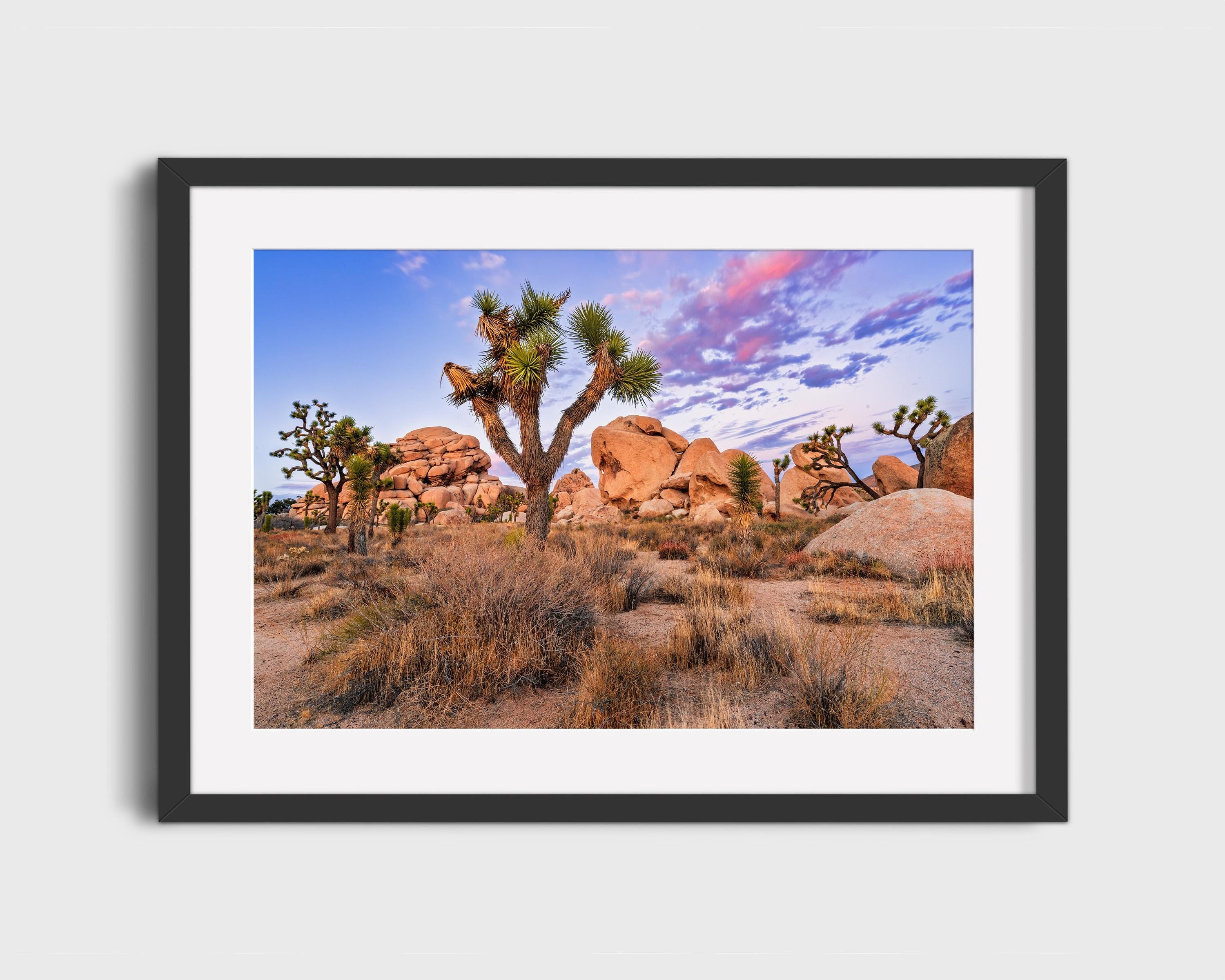 Joshua Tree Desert Sunset