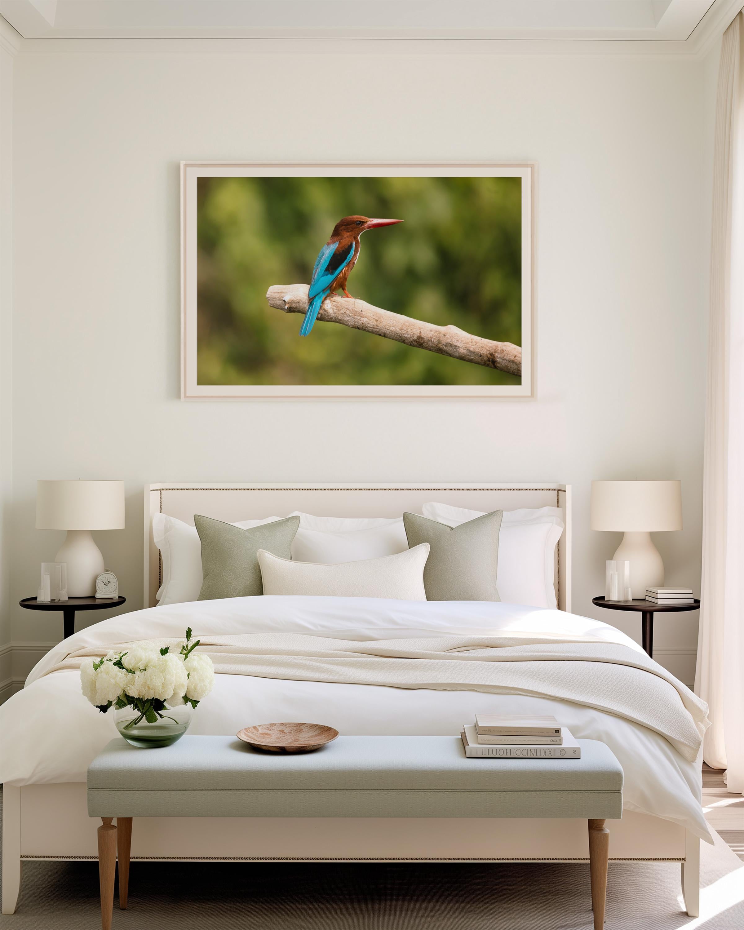 Vibrant Kingfisher Bird on Branch