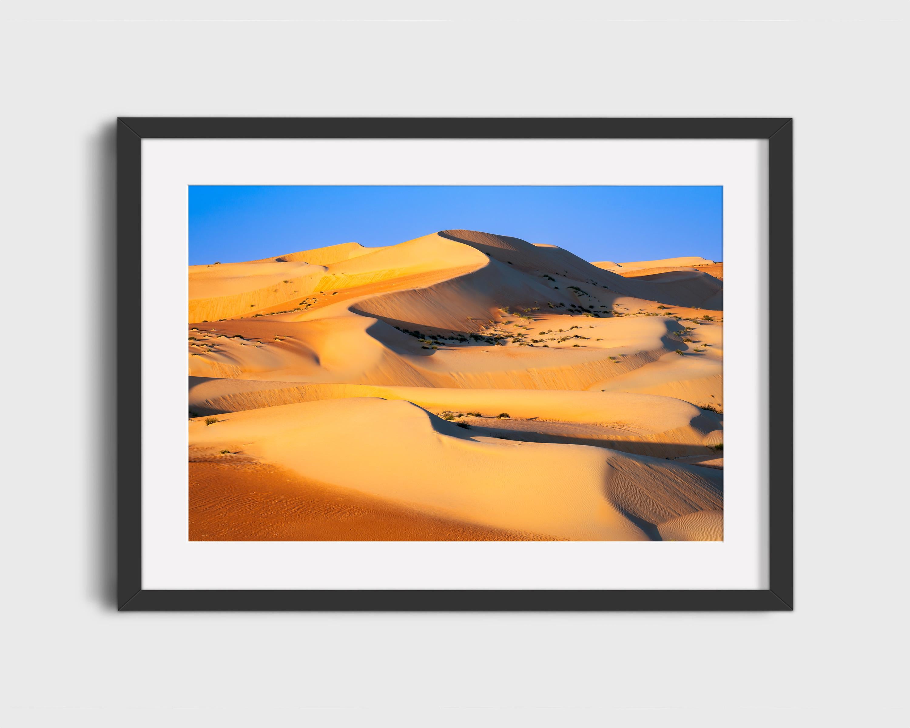 Golden Liwa Desert Dunes