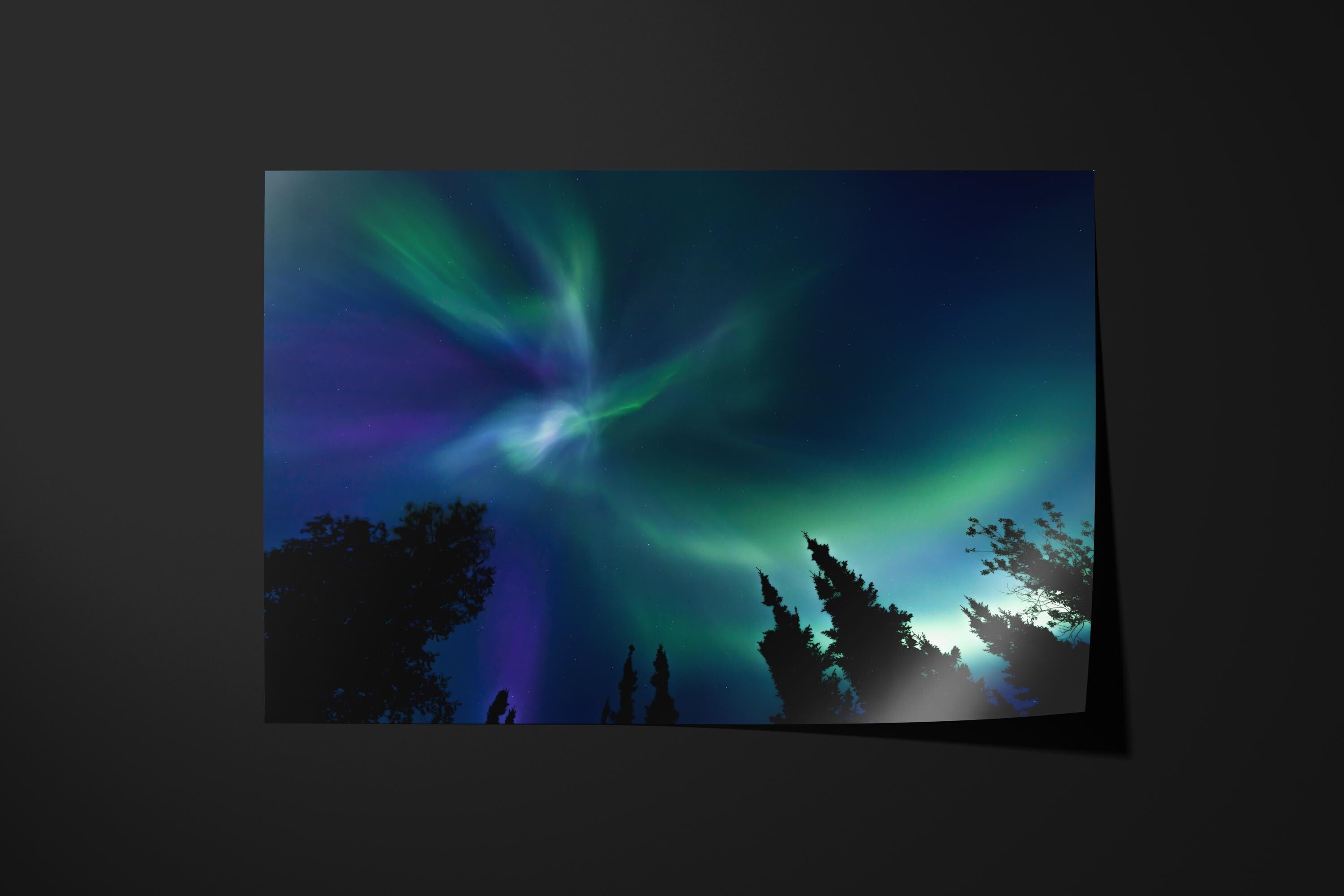 Alaskan Nights