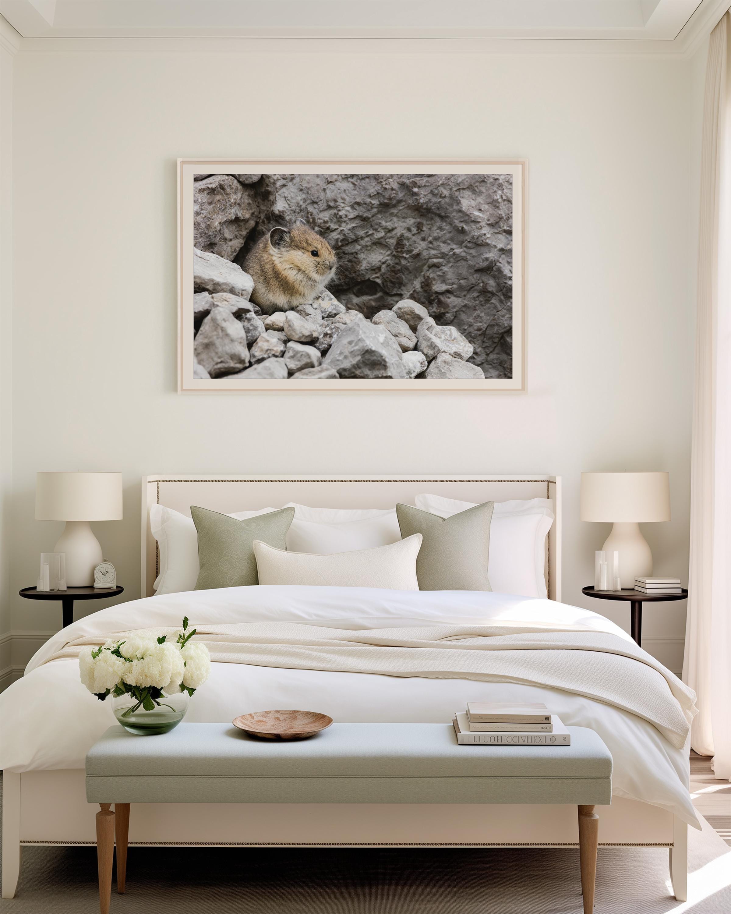 Cute Pika Wildlife