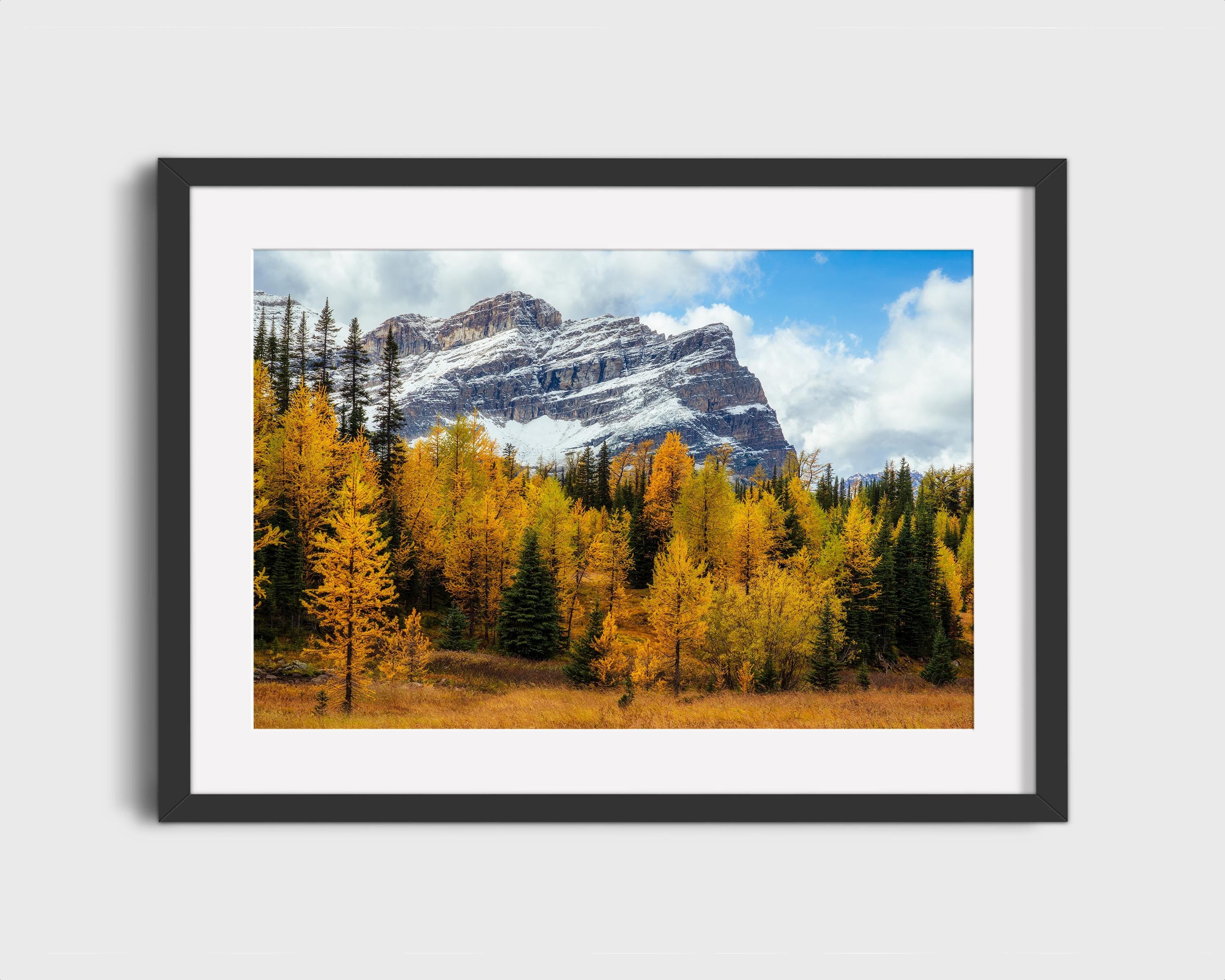 Golden Larch Meadow