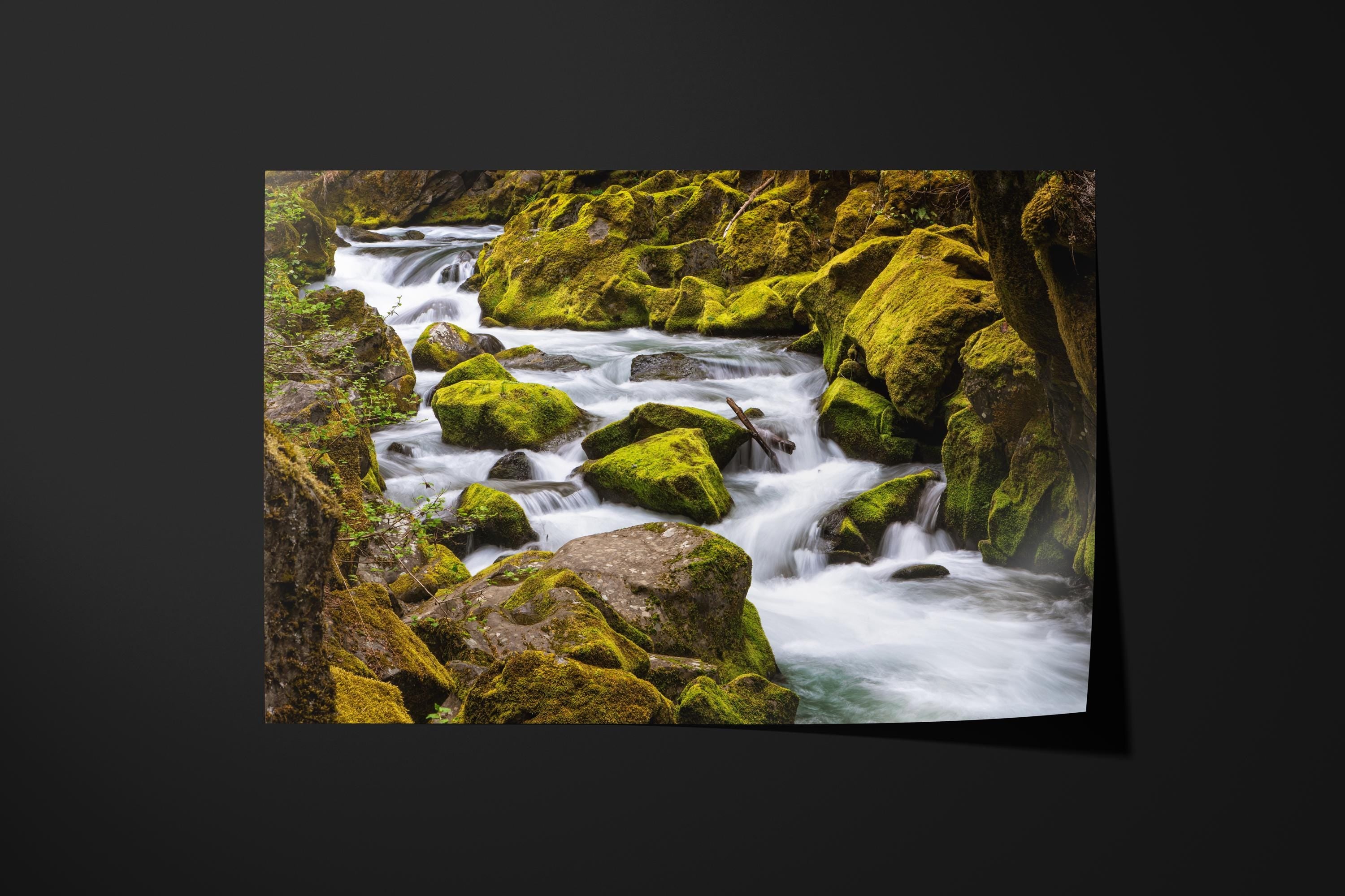 Mossy Gorge Stream