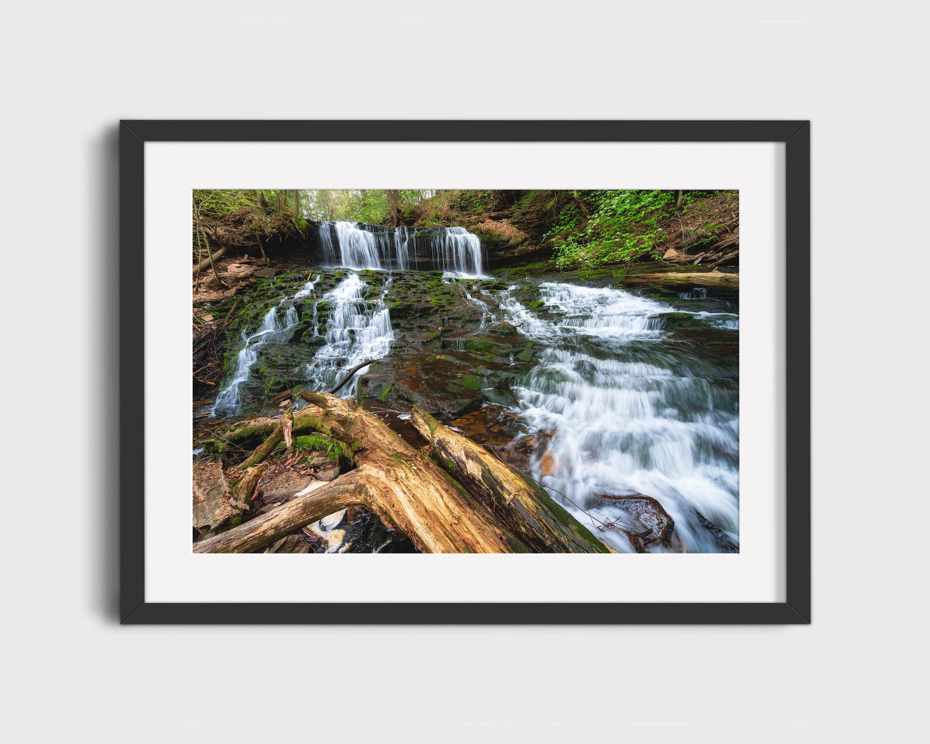 Ricketts Glen Rustic Forest Waterfall