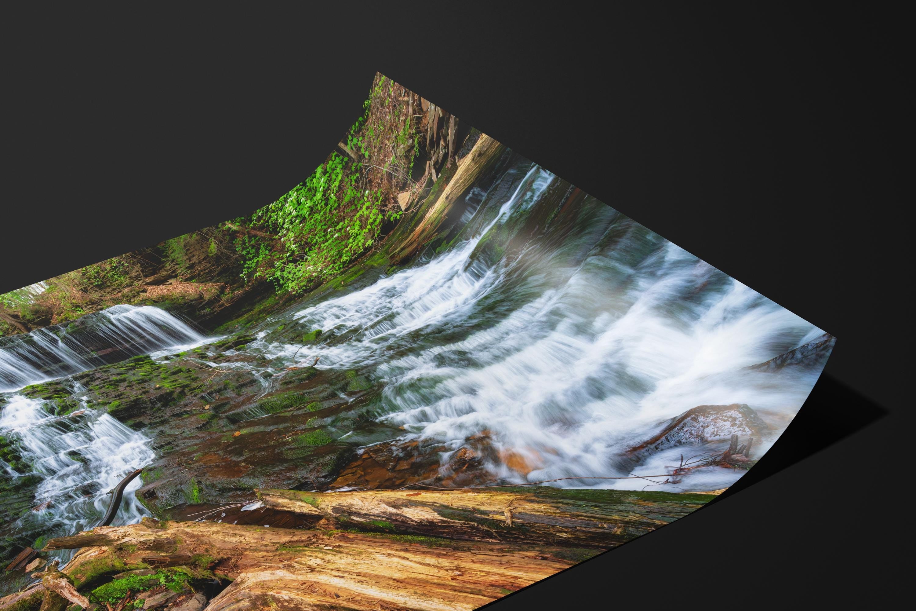 Ricketts Glen Rustic Forest Waterfall