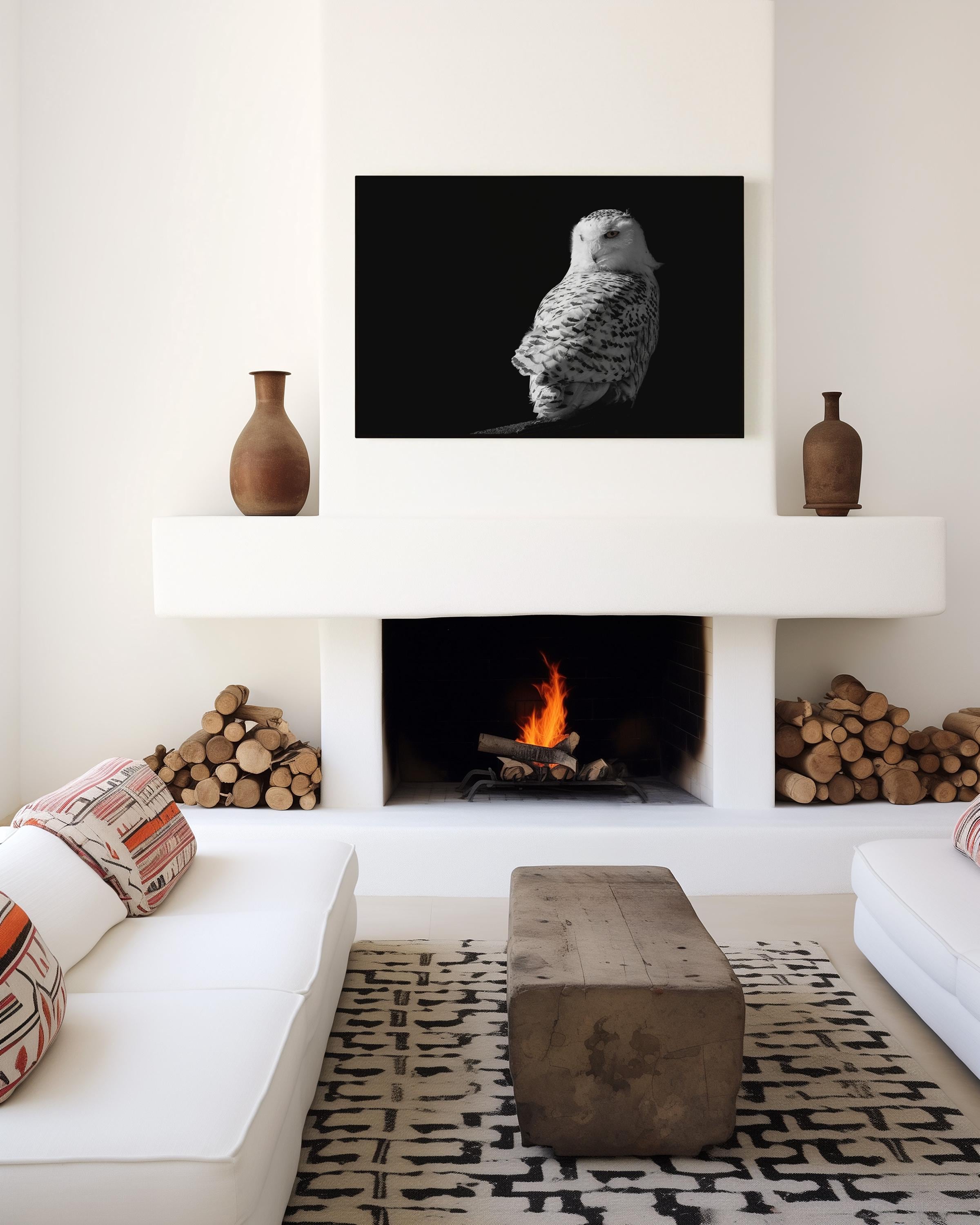 Snowy Owl