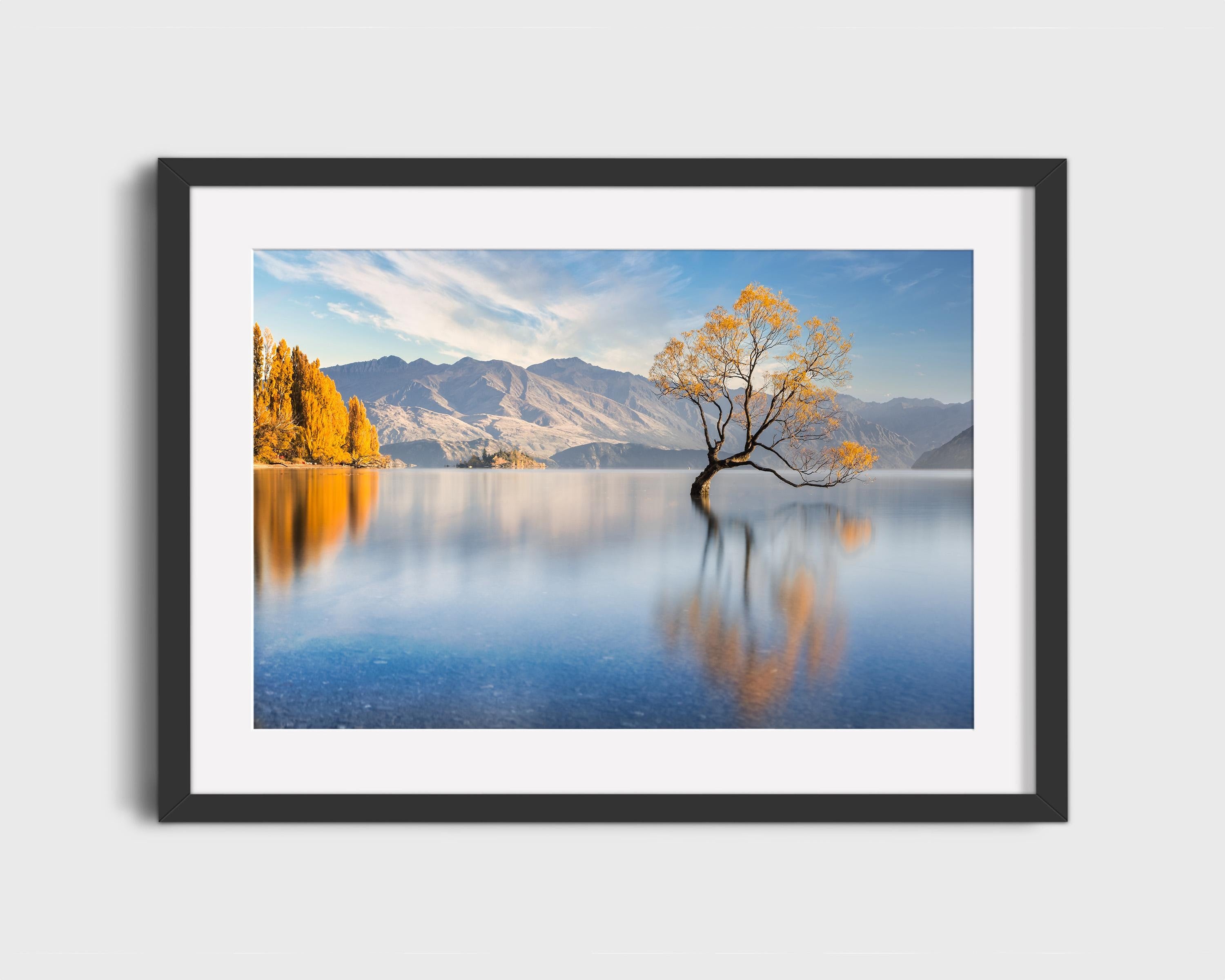 Wanaka Tree