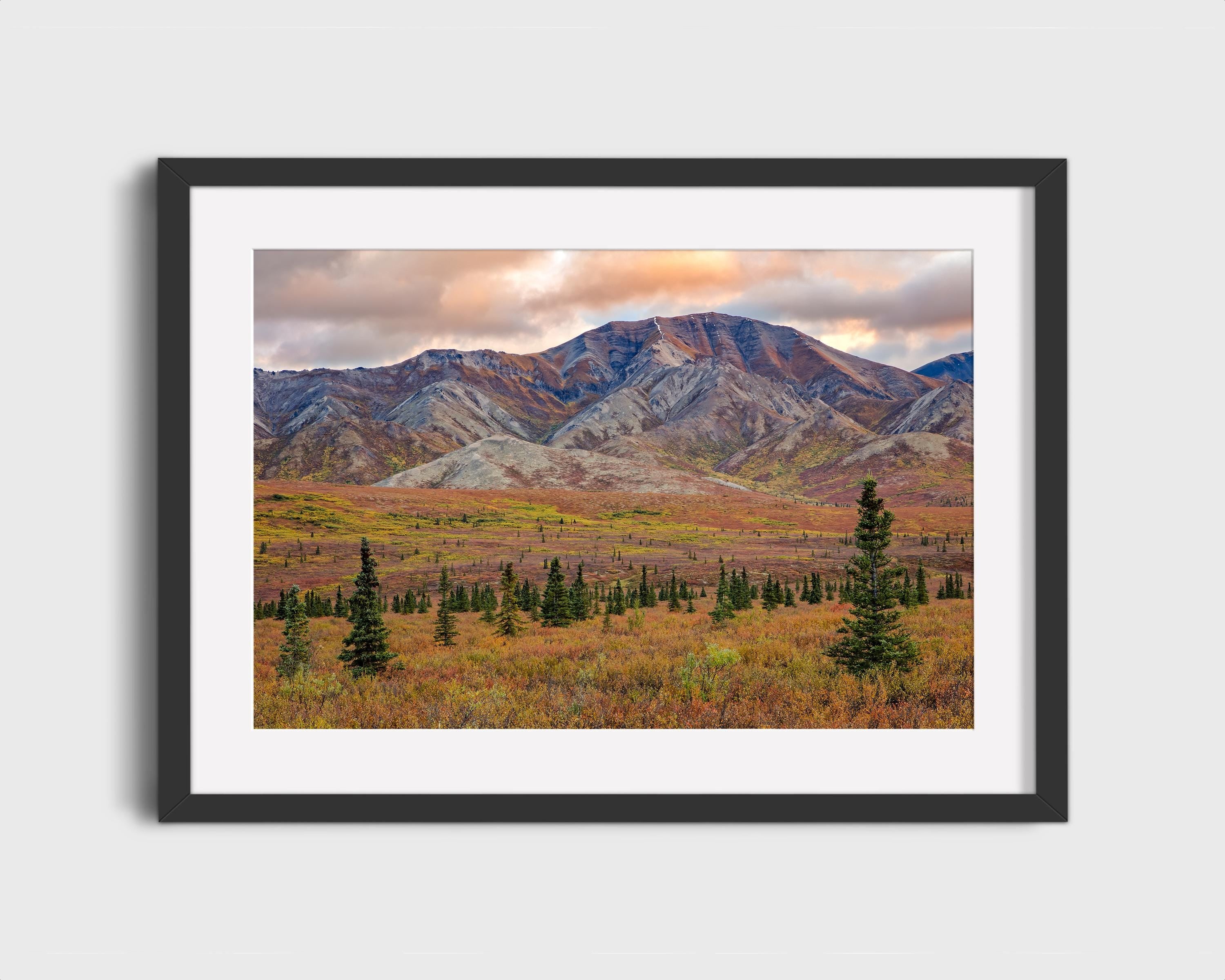 Denali Sunset Alaska