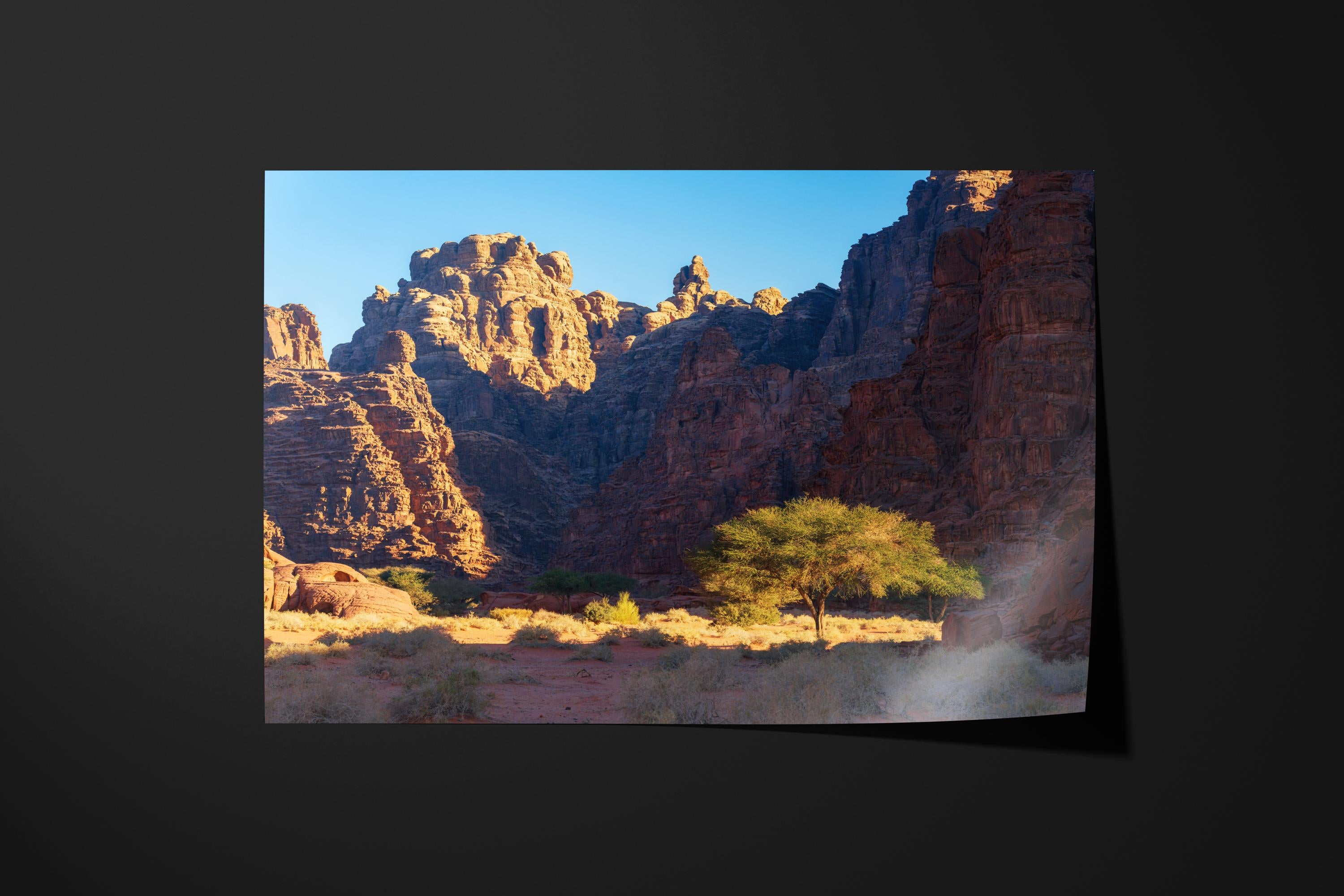 Desert Canyon Oasis