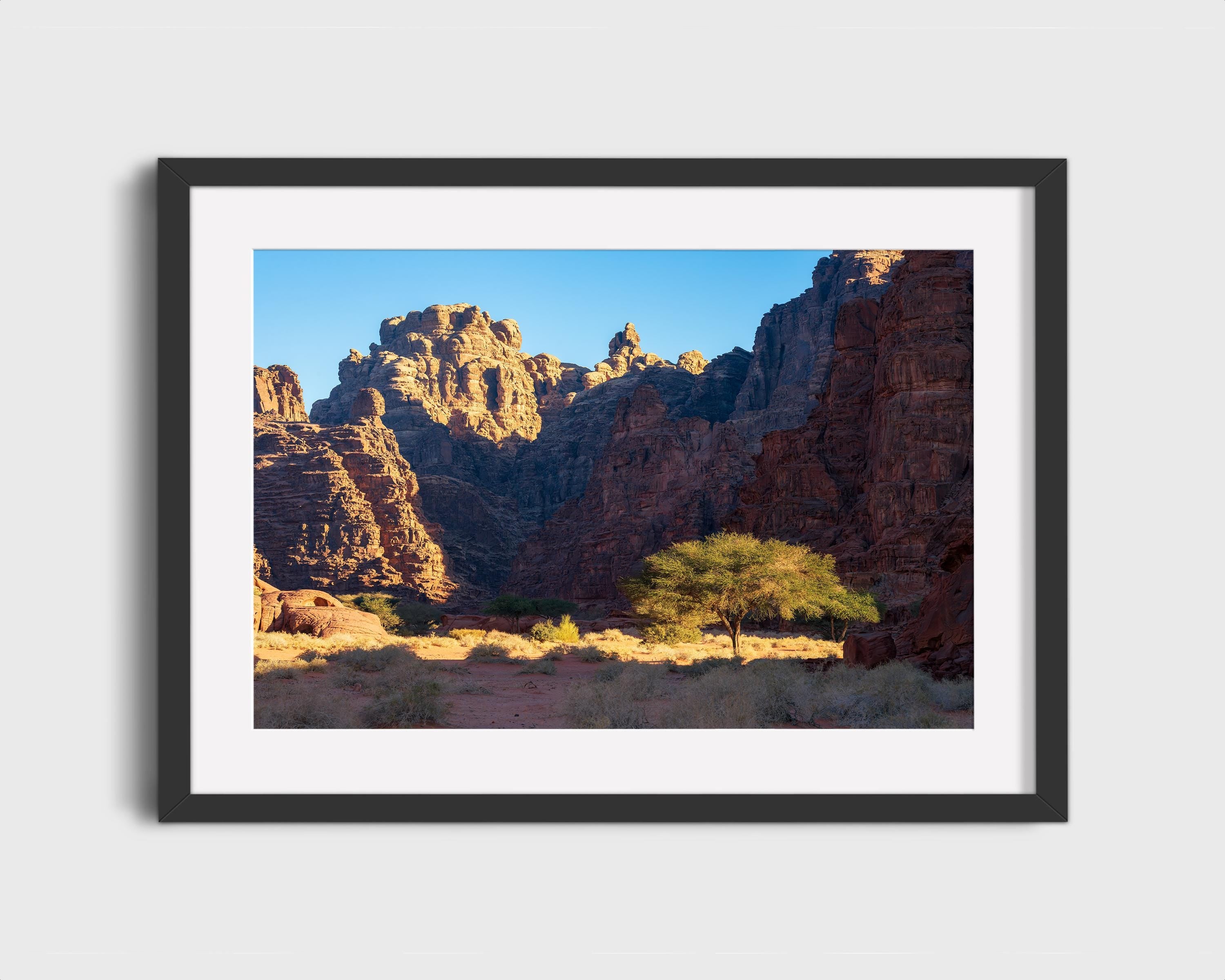 Desert Canyon Oasis