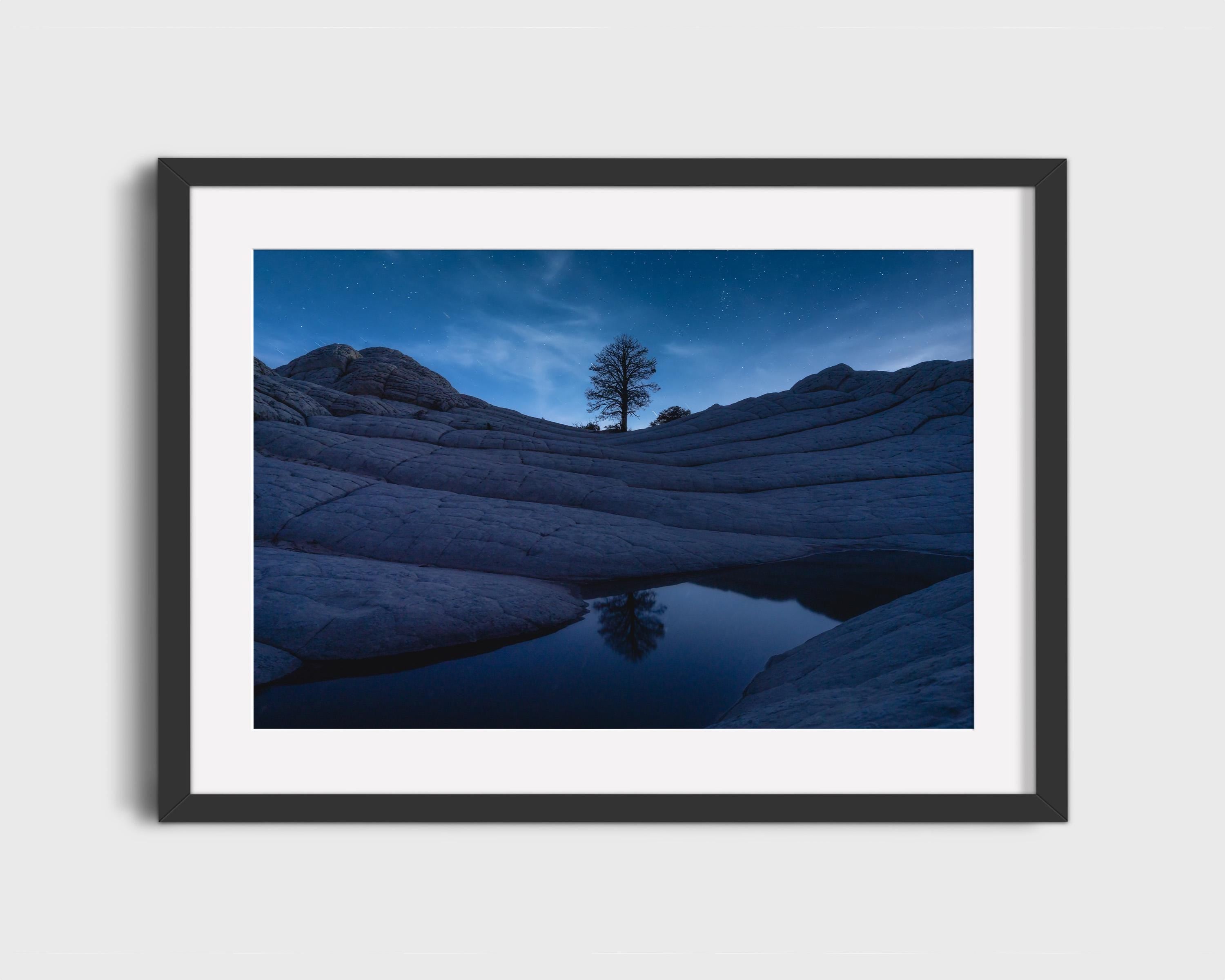 Lone Tree Under Stars