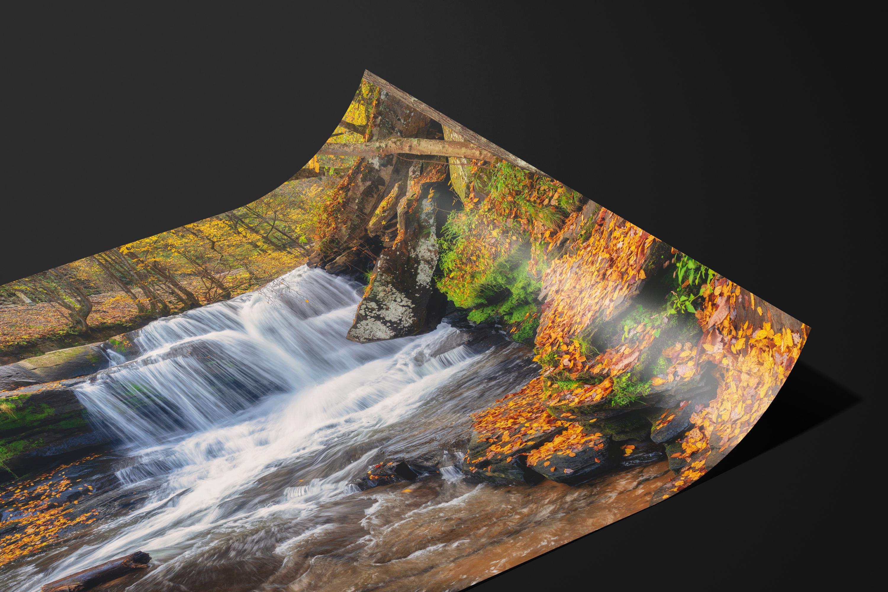 Autumn Dunlop Falls