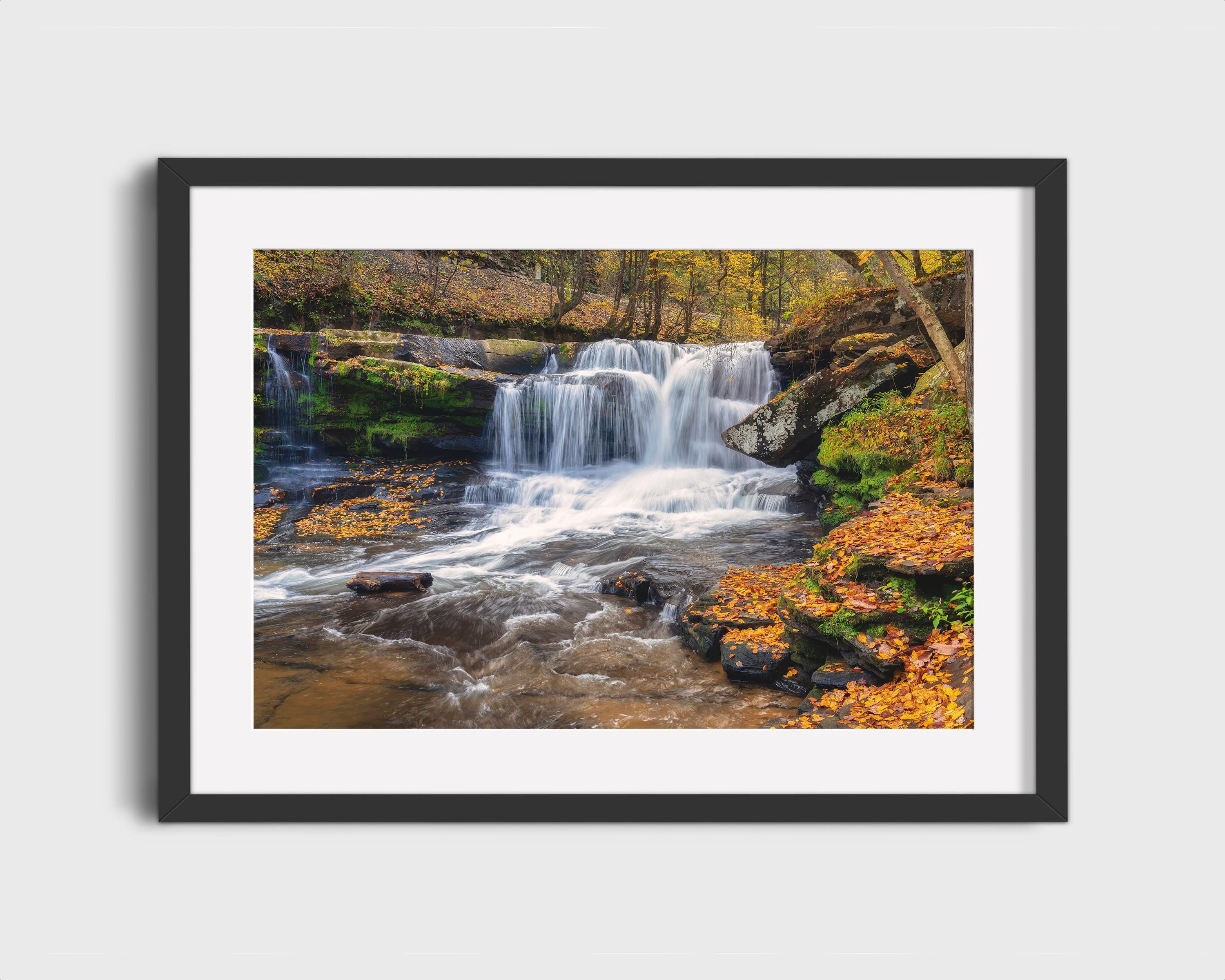 Autumn Dunlop Falls
