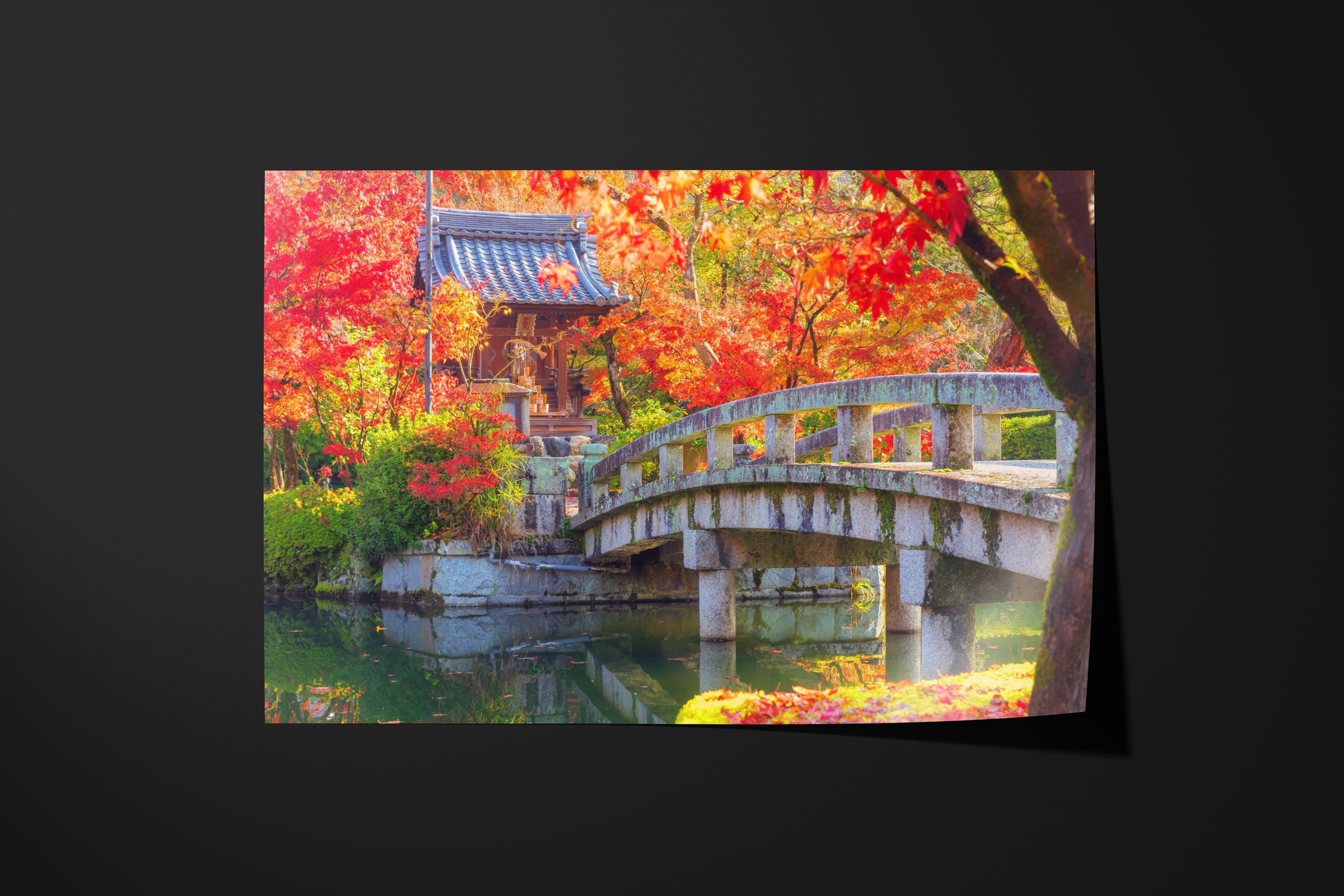 Japanese Garden Bridge in Autumn