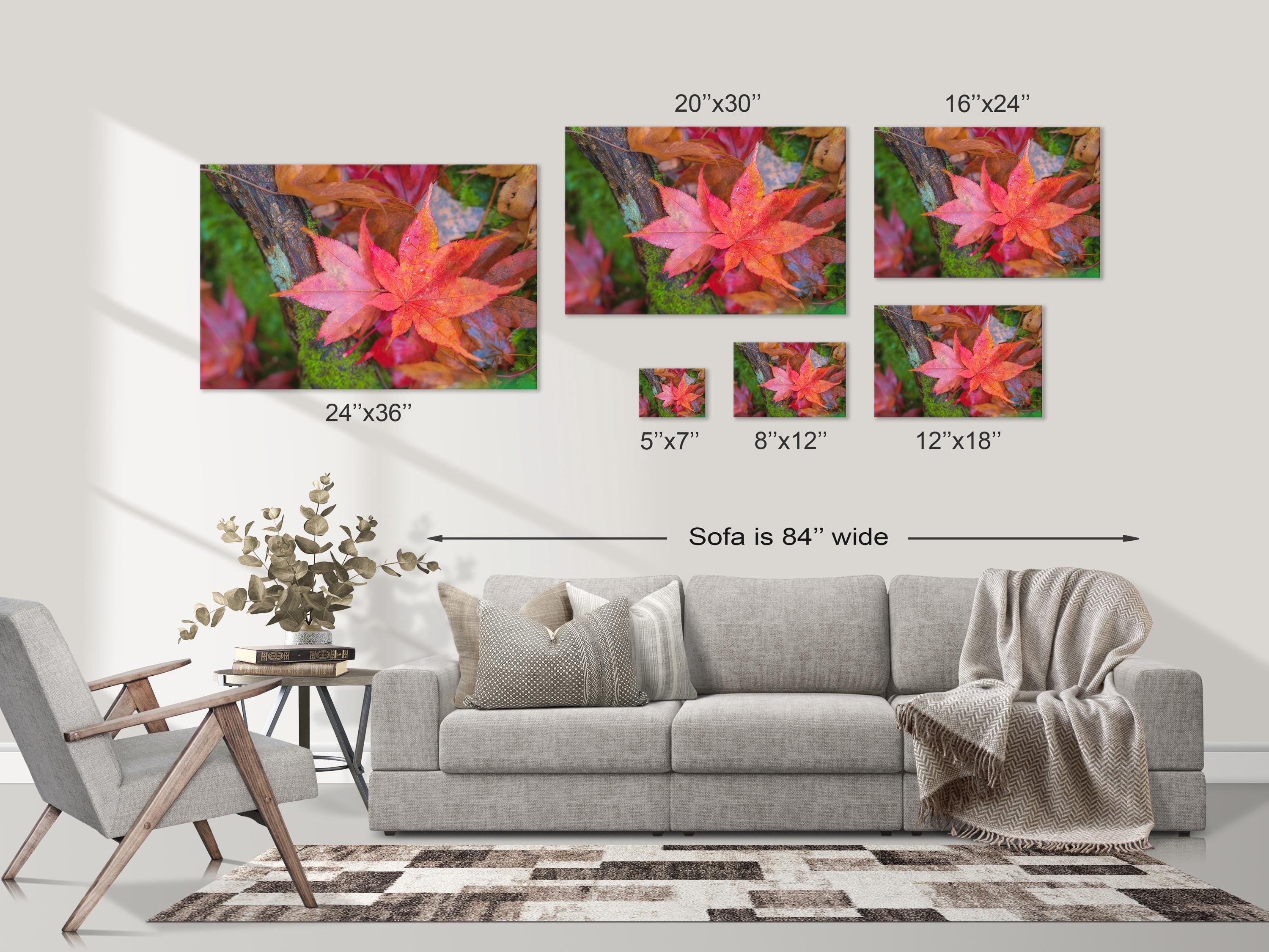 Japanese Maple Leaves Autumn