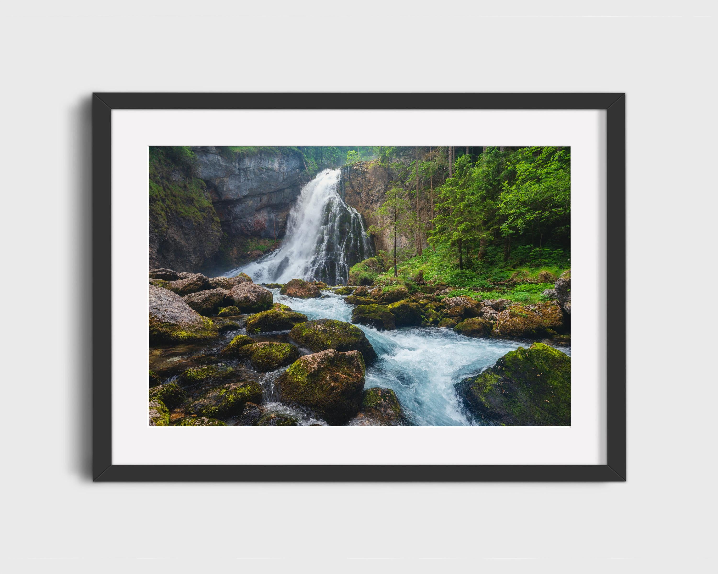 Gollinger Waterfall Forest