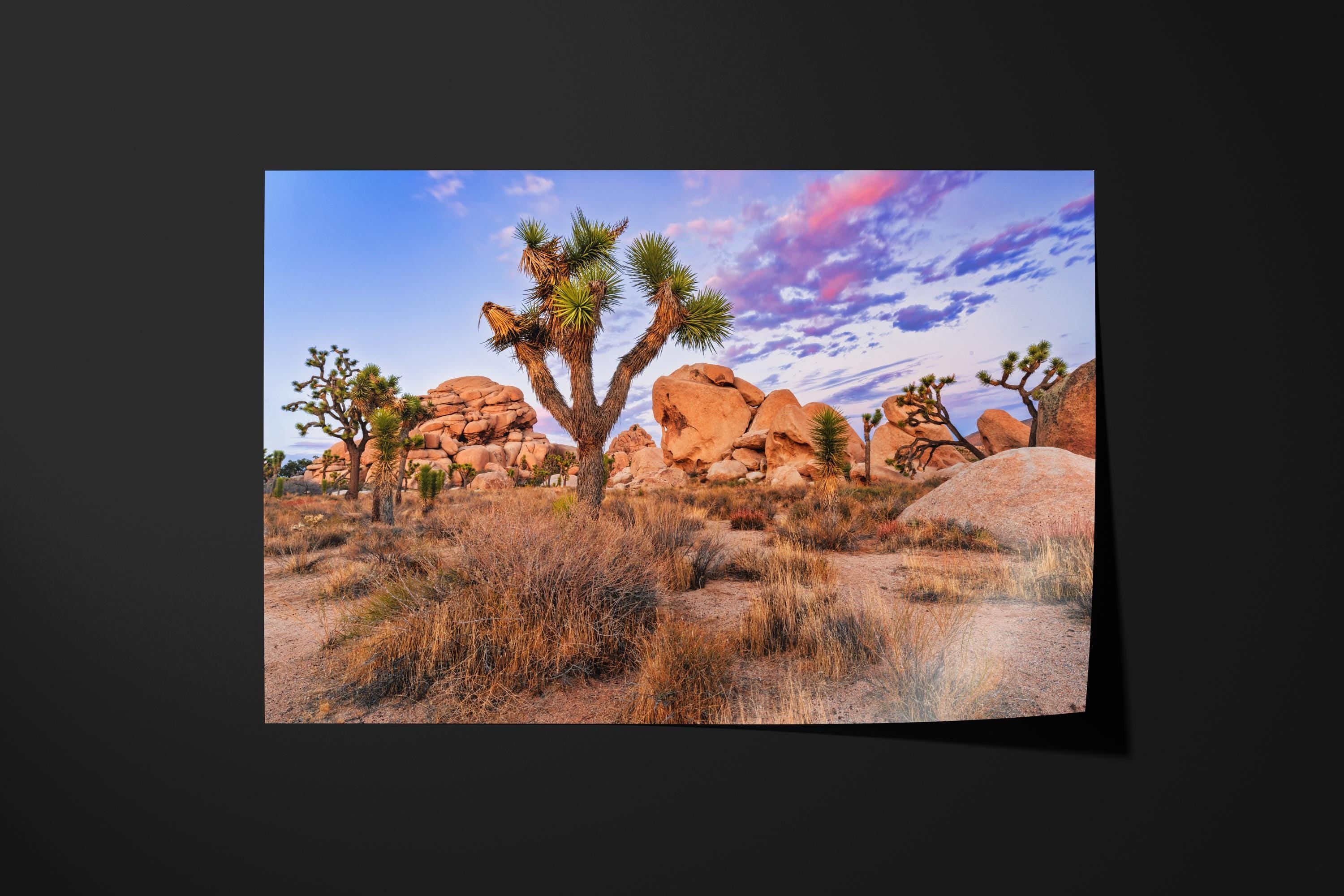 Joshua Tree Desert Sunset