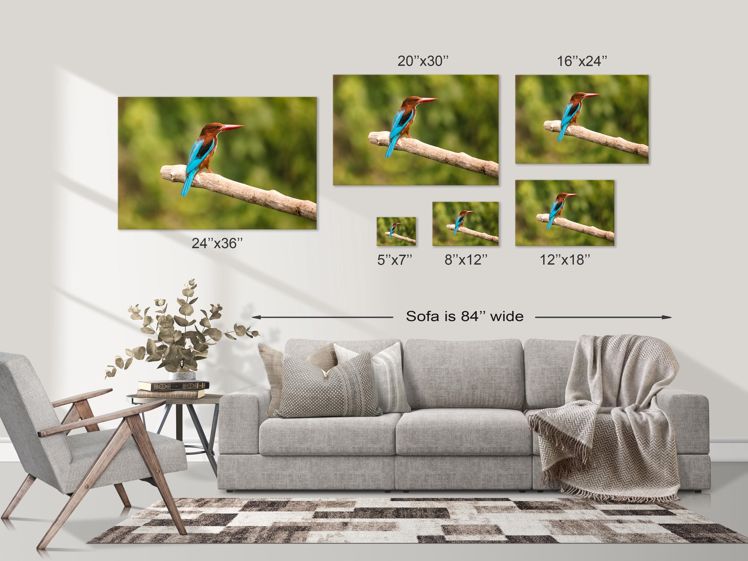 Vibrant Kingfisher Bird on Branch