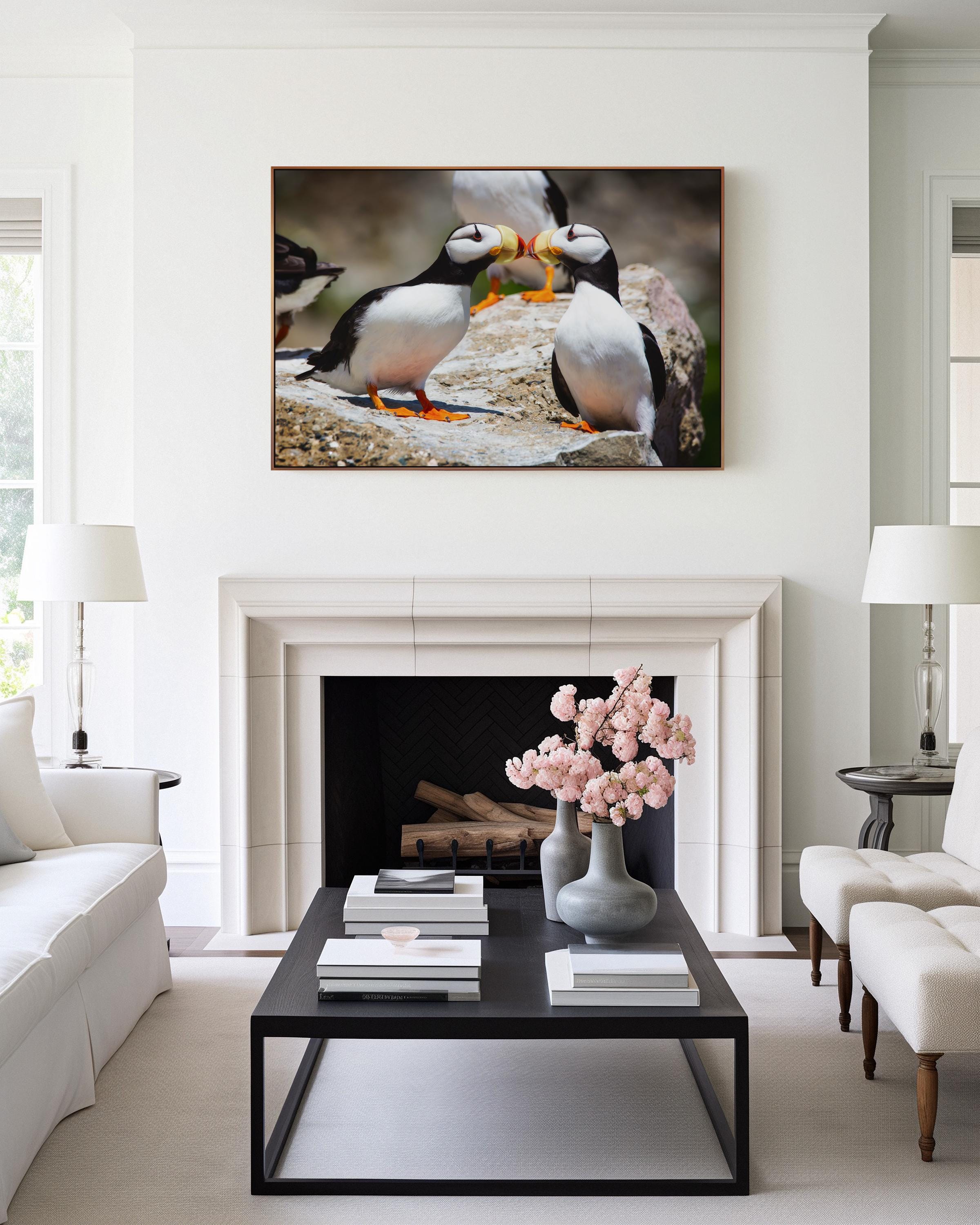 Puffin Kiss