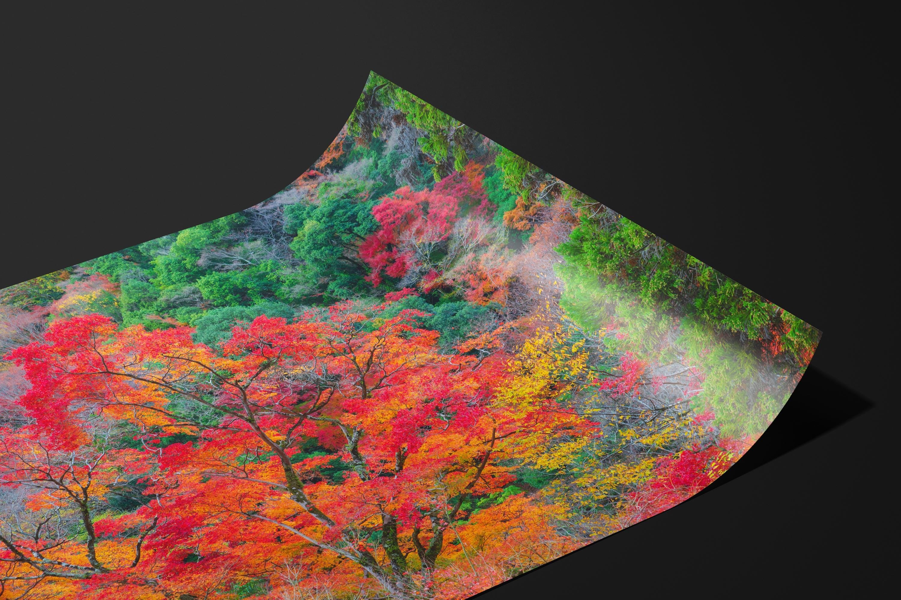 Vibrant Autumn Japan