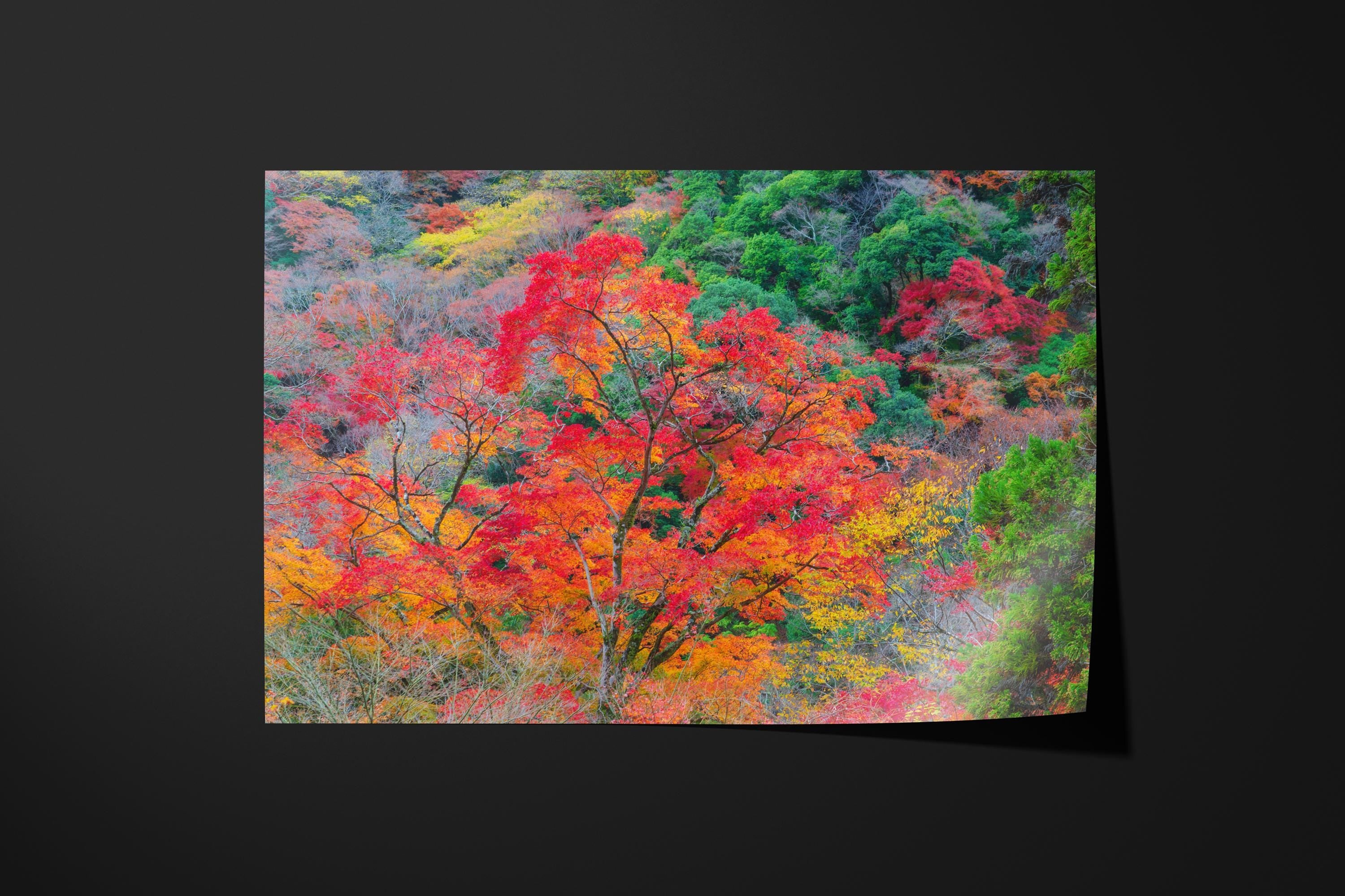 Vibrant Autumn Japan