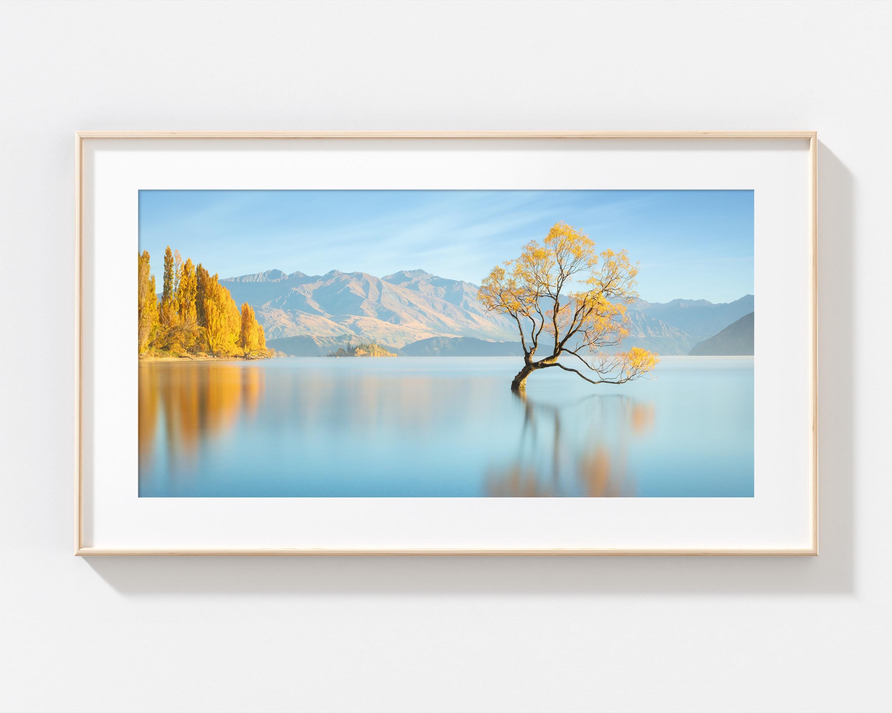 Serene Wanaka Tree