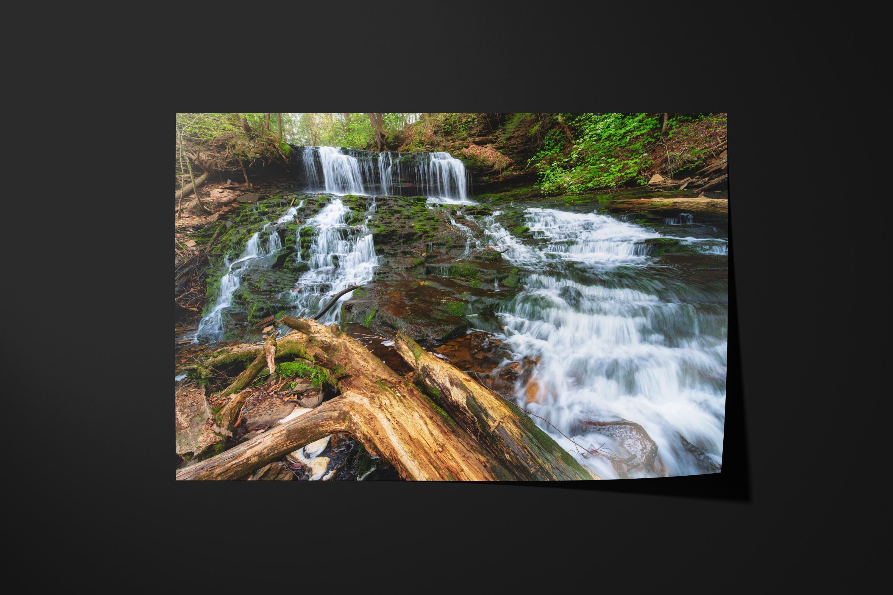 Ricketts Glen Rustic Forest Waterfall