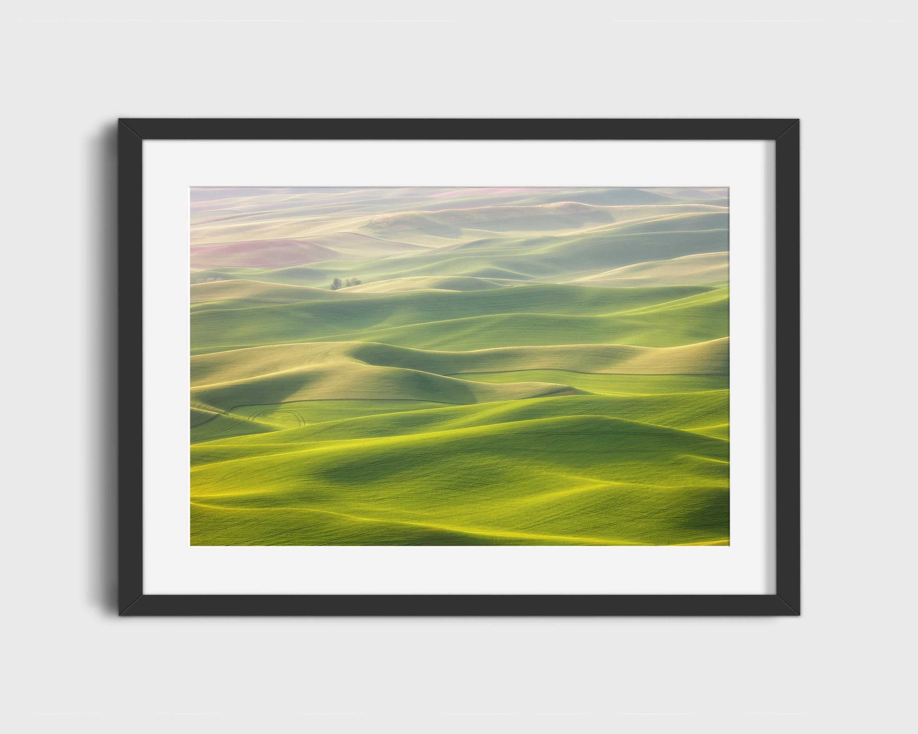 Rolling Hills Landscape