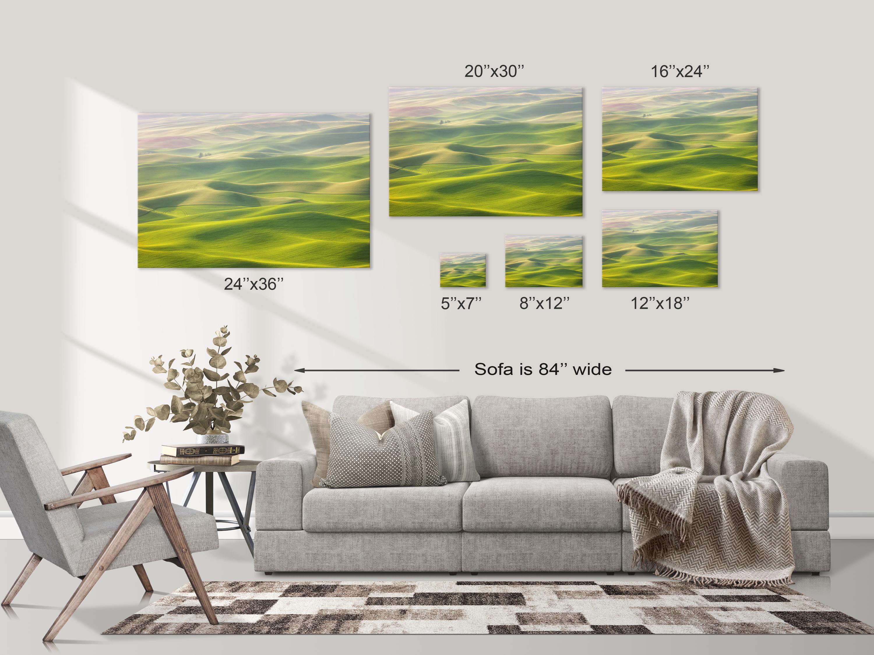 Rolling Hills Landscape