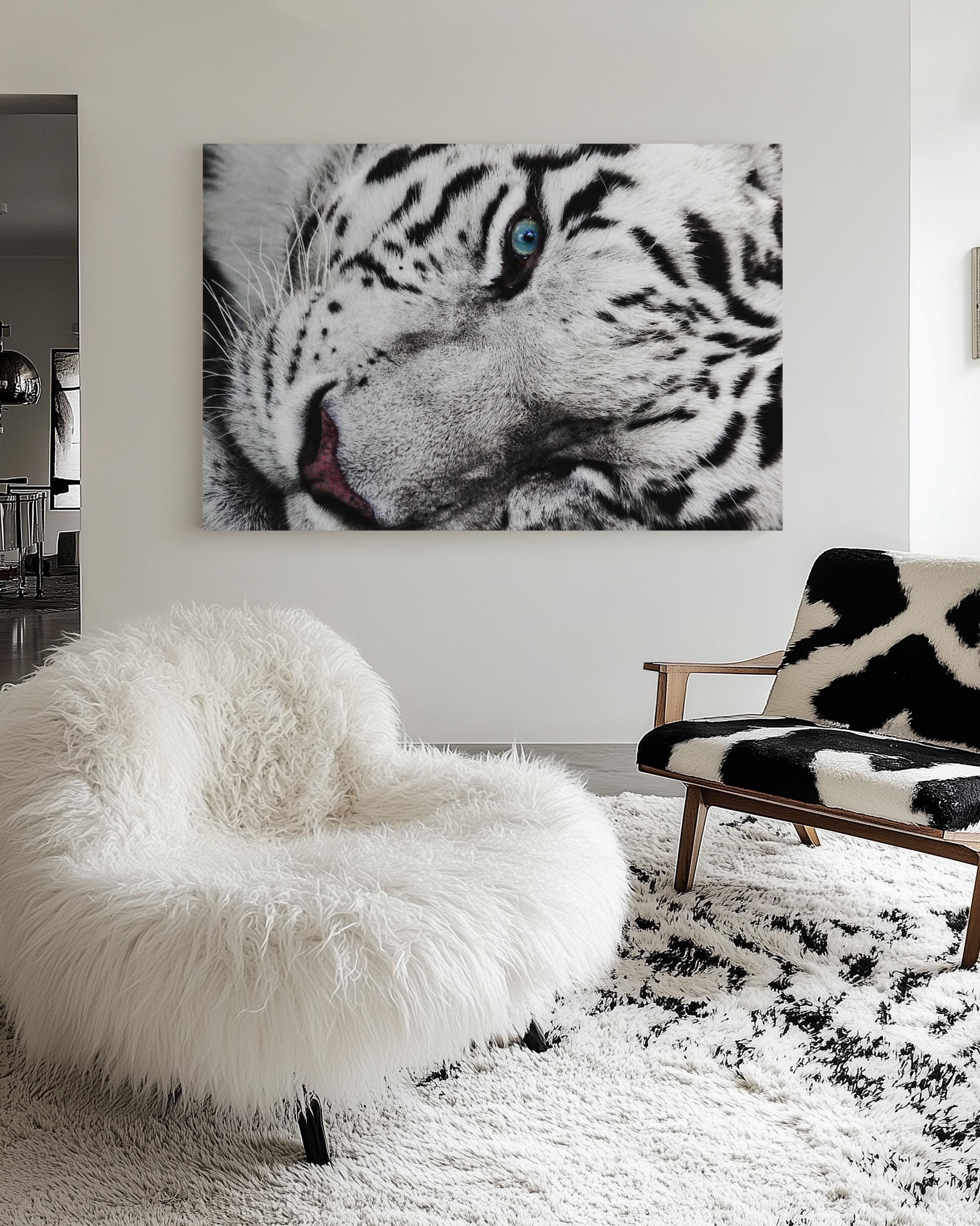 Majestic White Tiger Eye