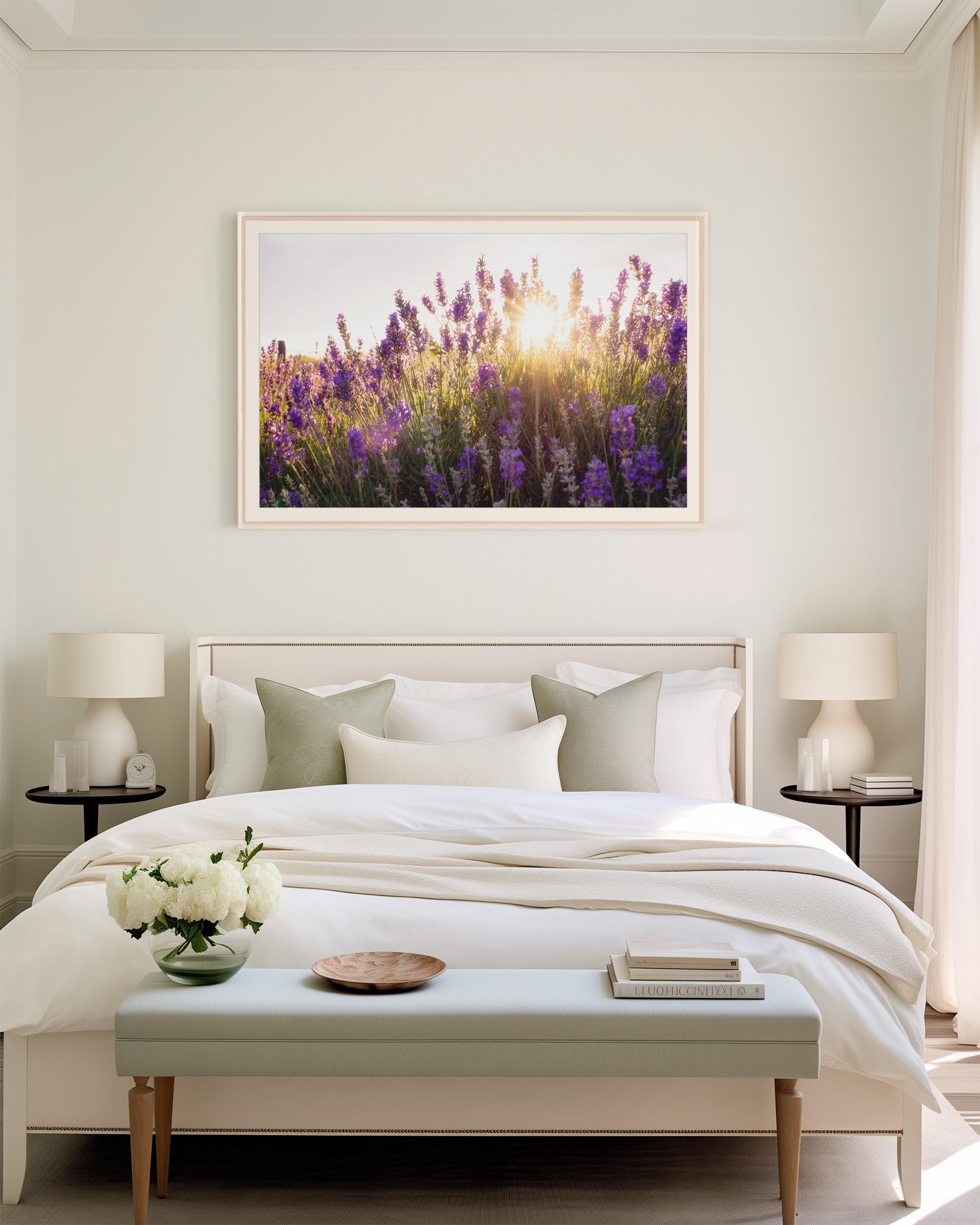 Sunset Lavender Field