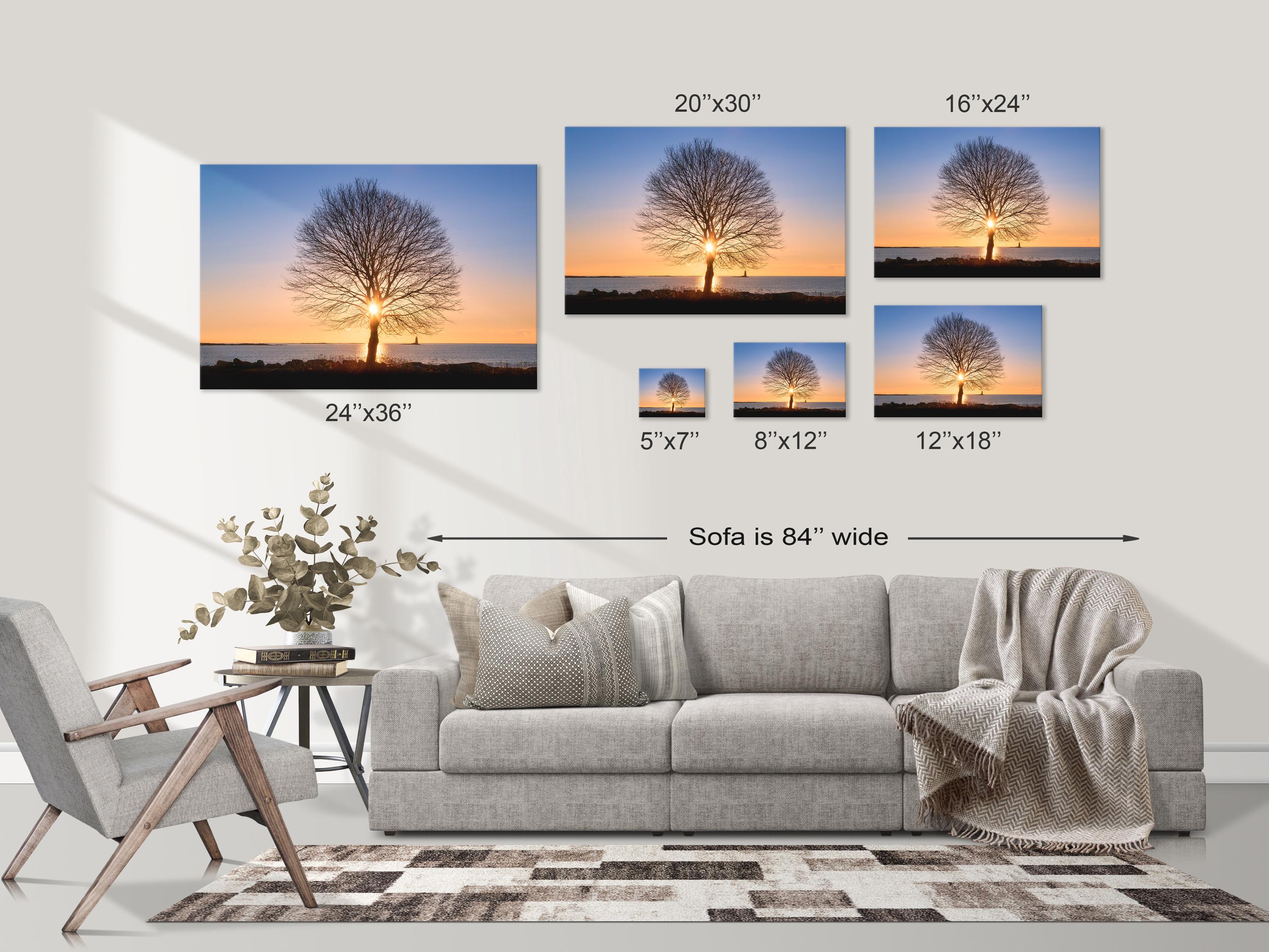 Tree of Life Sunrise