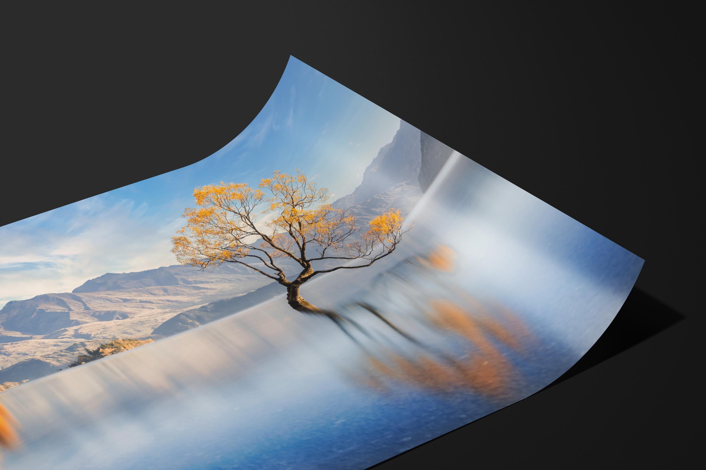 Wanaka Tree