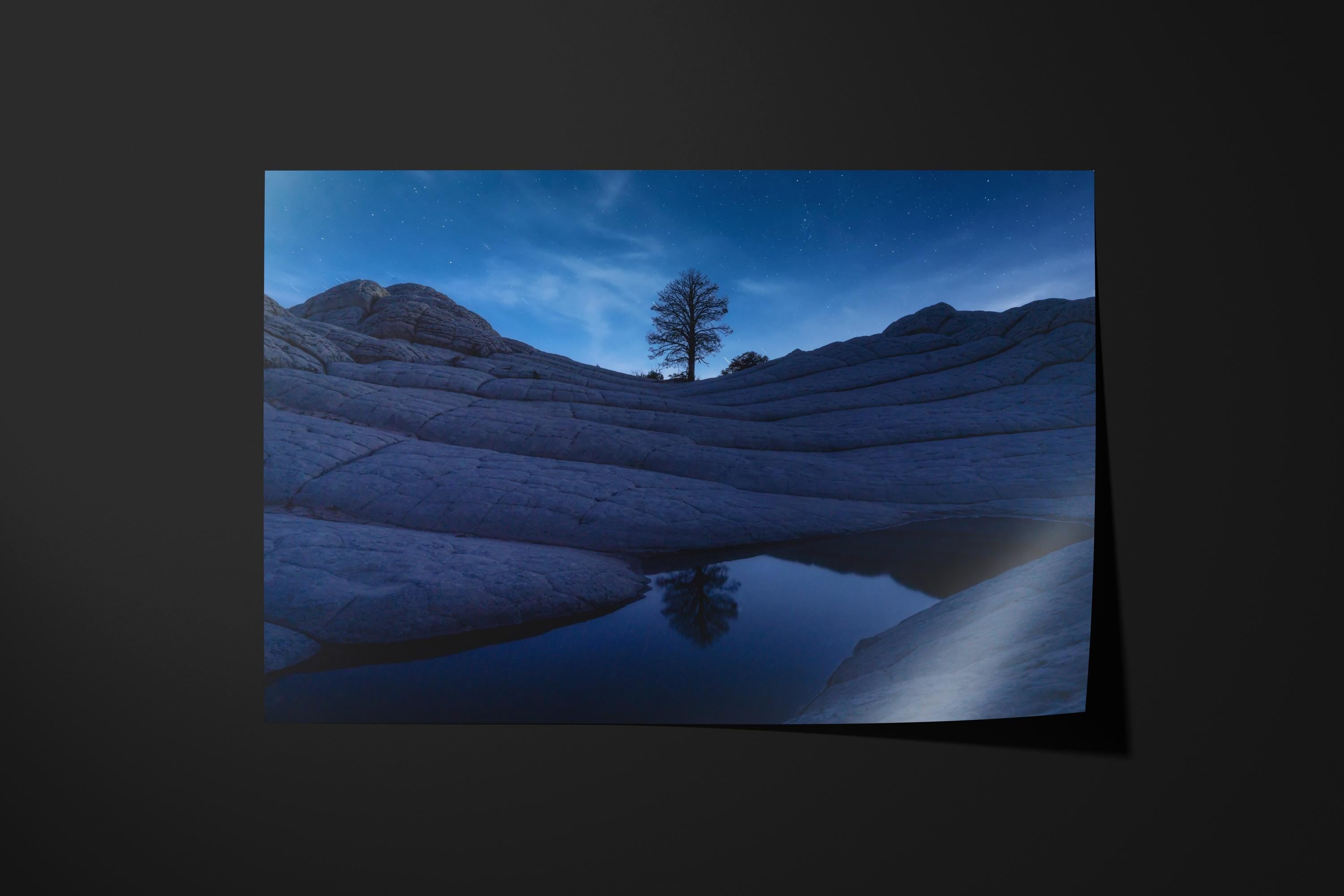 Lone Tree Under Stars