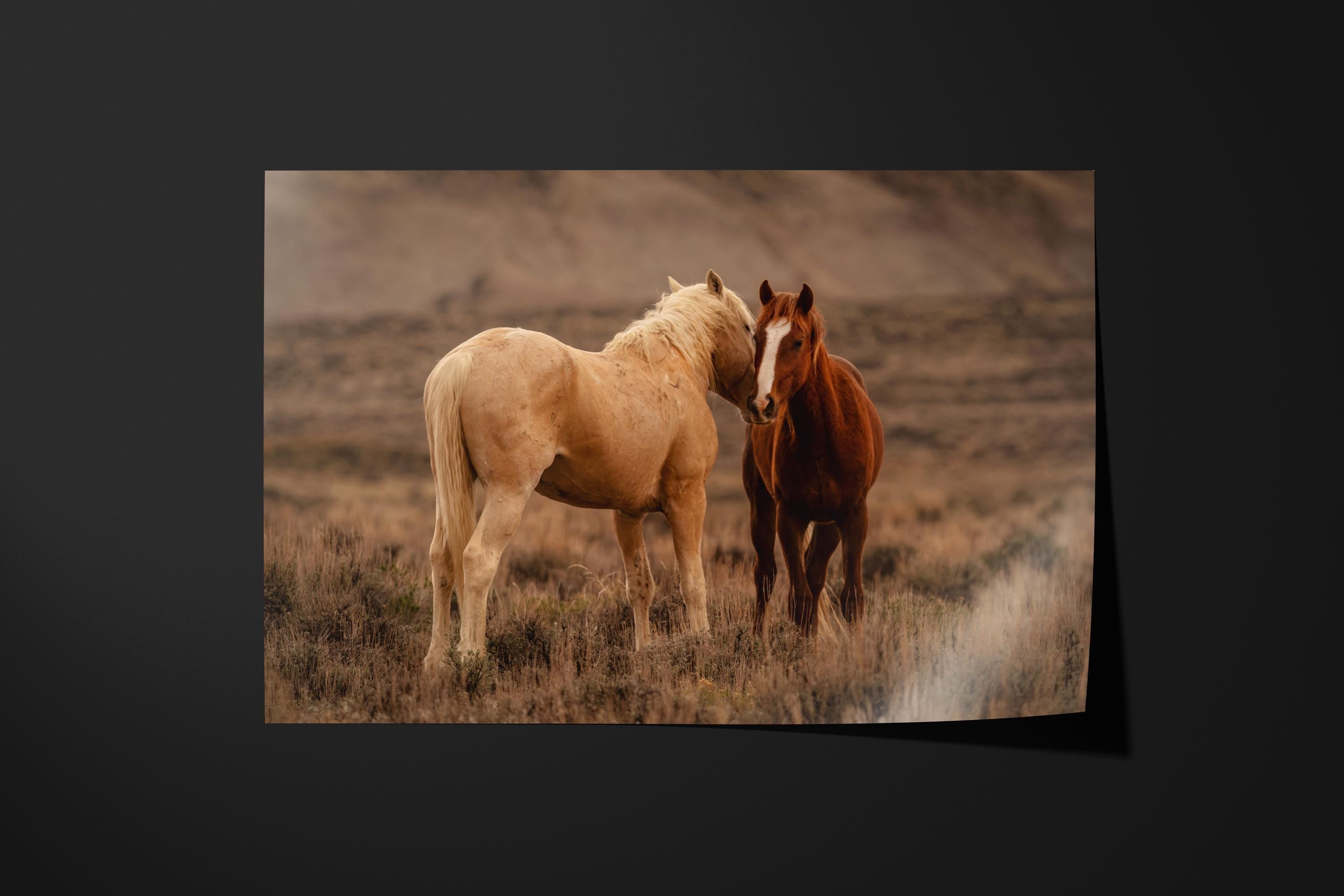 Wild Mustang Kiss