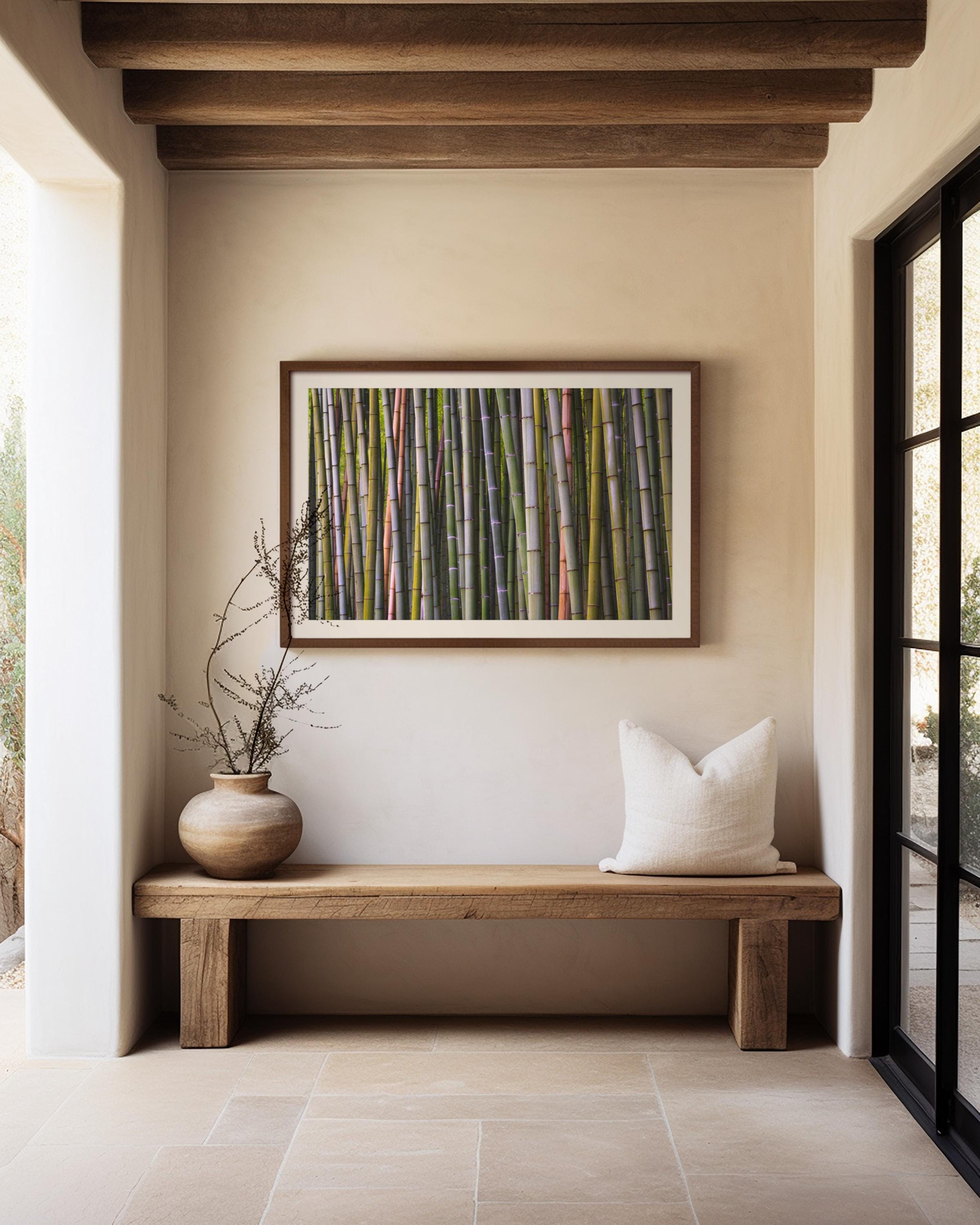 Bamboo Grove