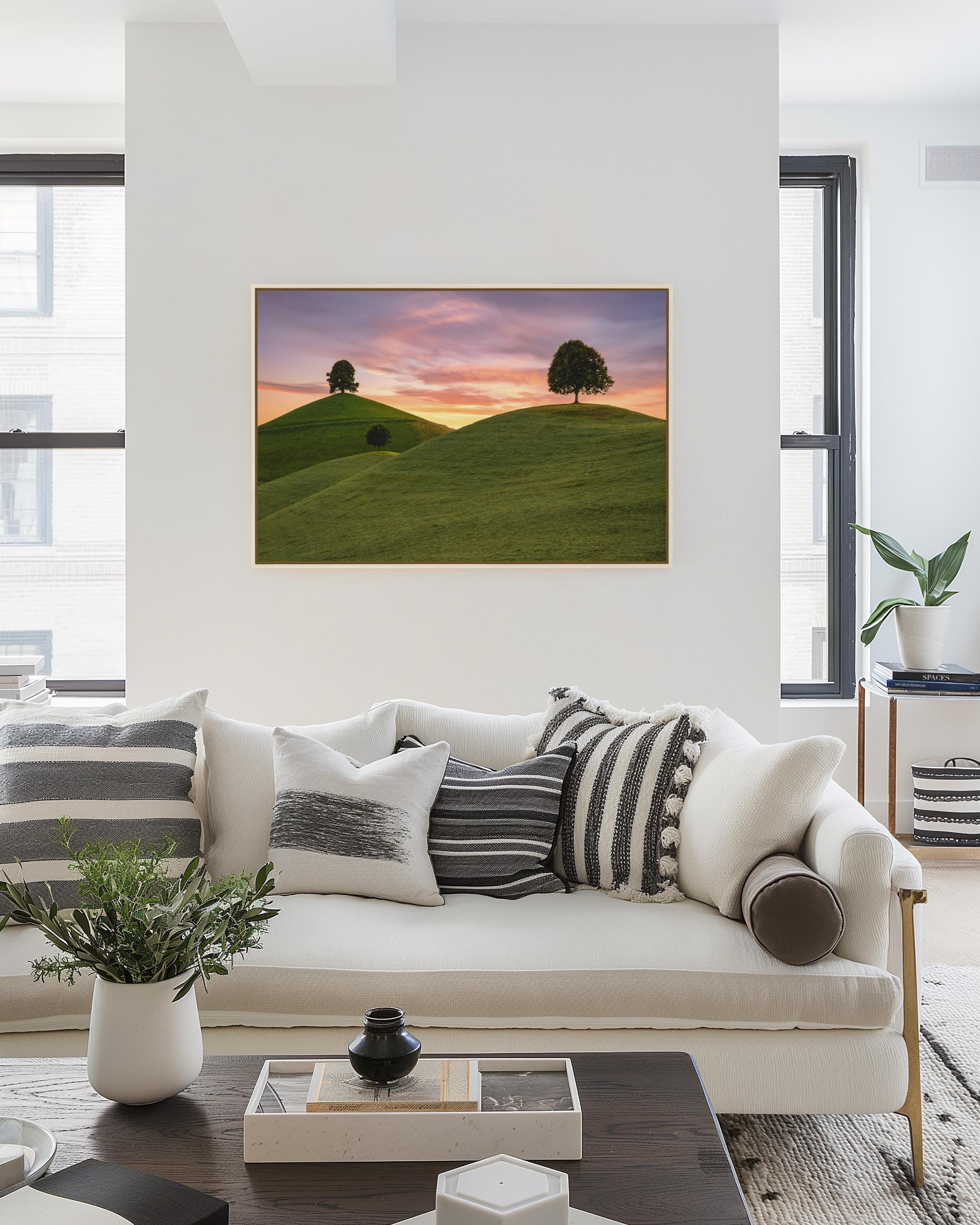 Lone Trees on Rolling Hills at Sunset