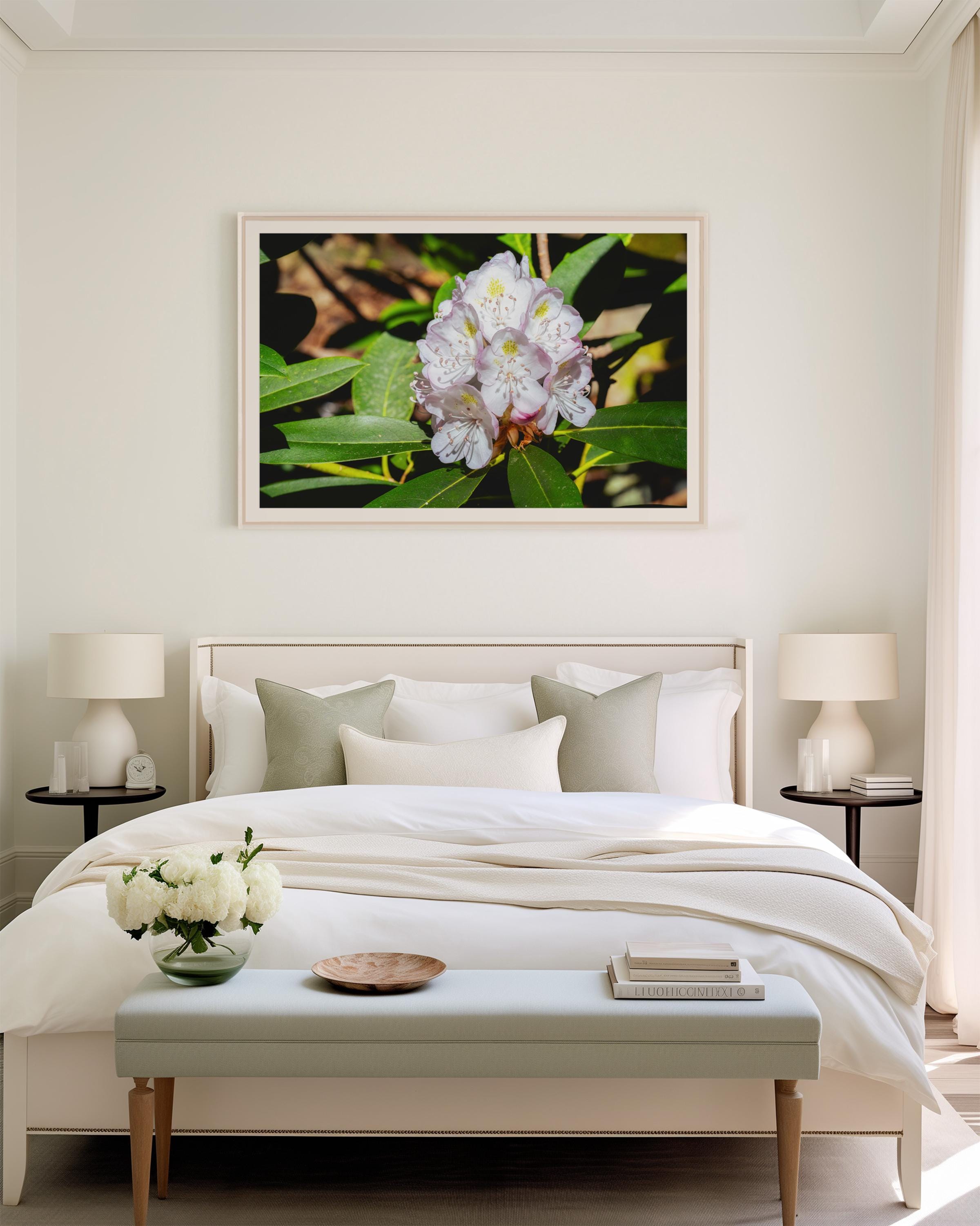 Rhododendron Blossom