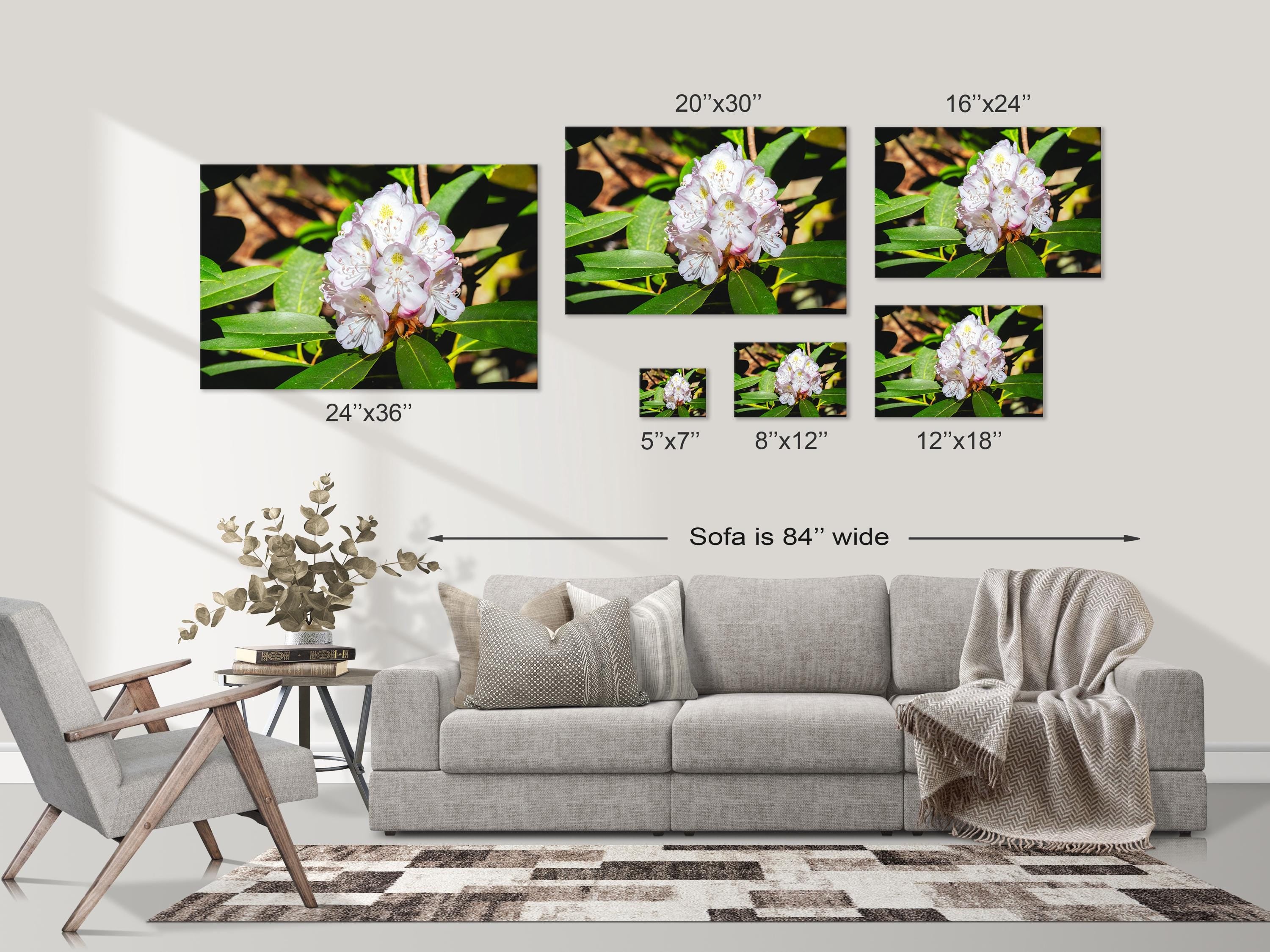 Rhododendron Blossom