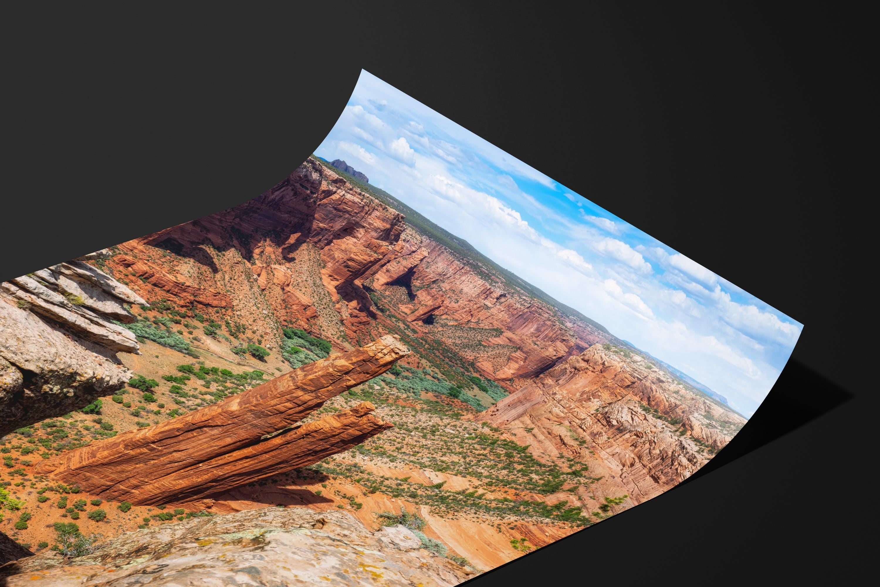 Spider Rock Wall Art