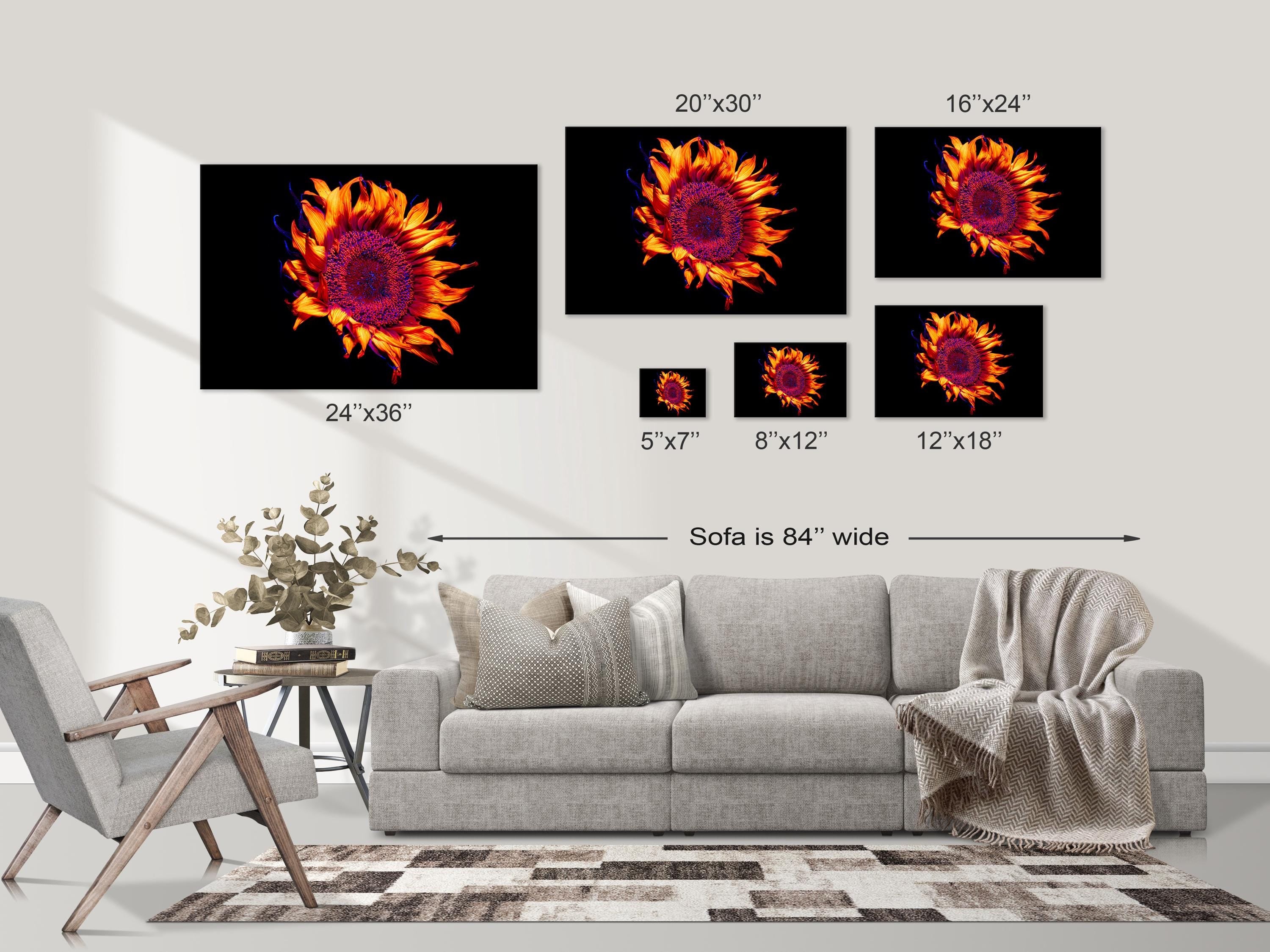UV Sunflower